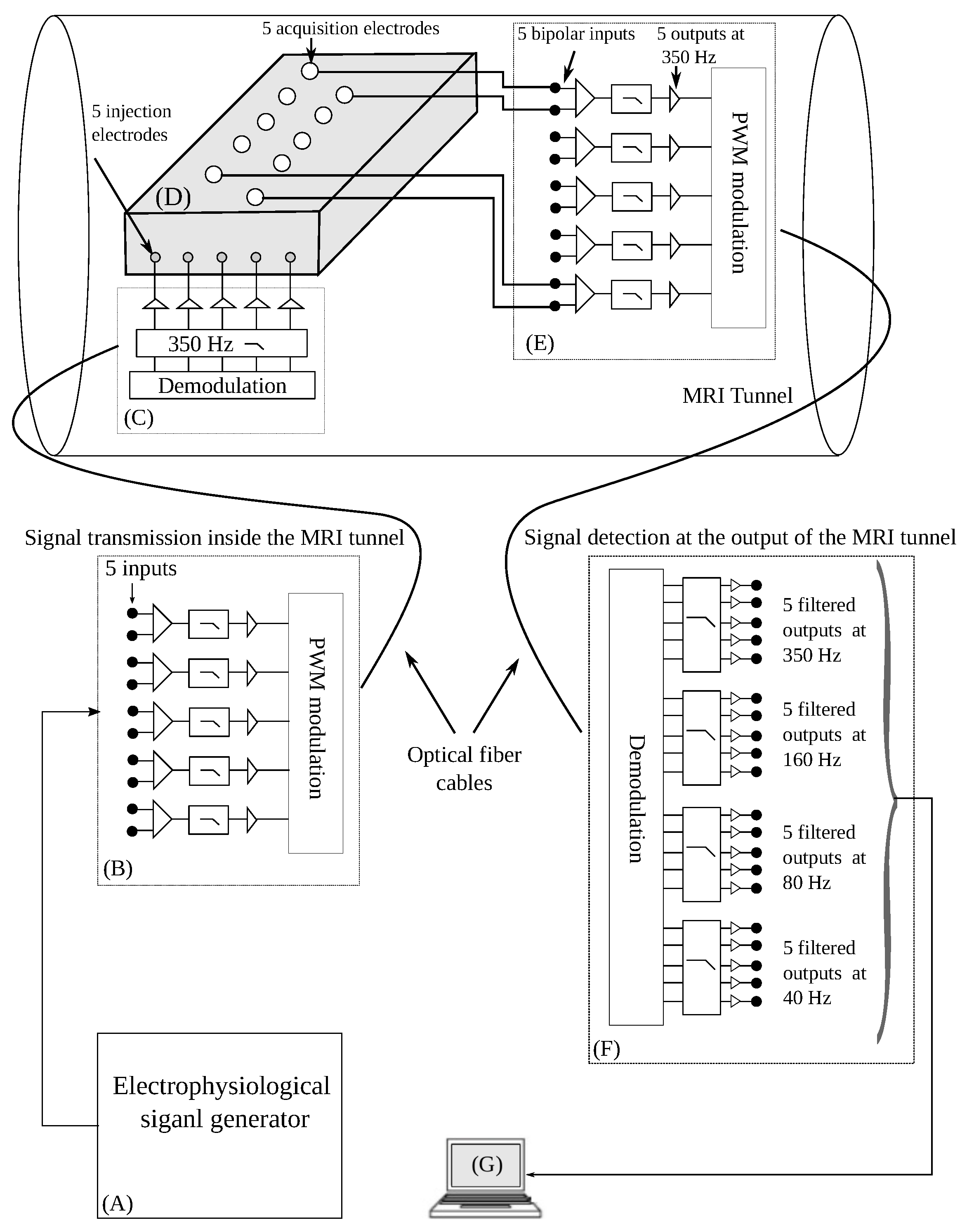 Bioengineering 10 01282 g001