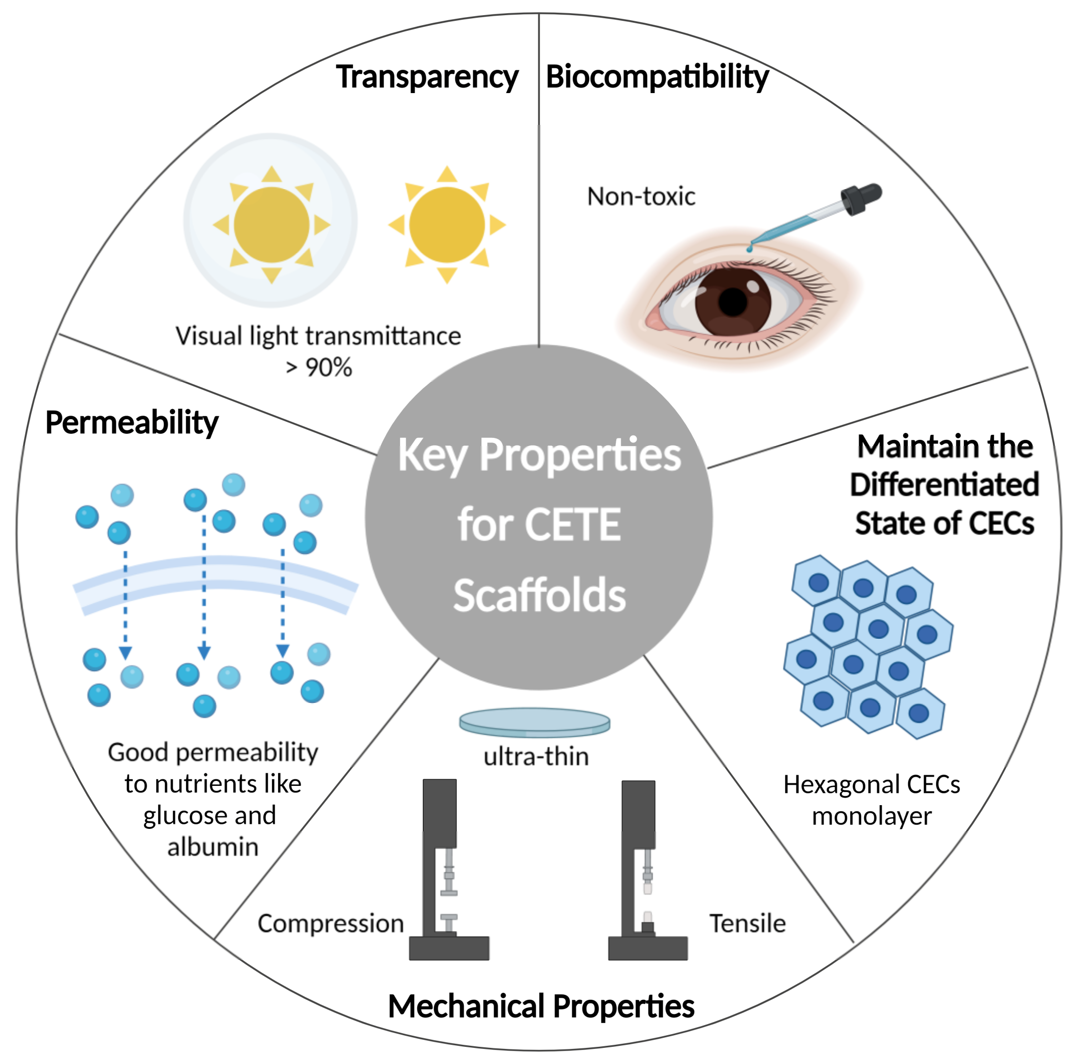 Bioengineering 10 01284 g002