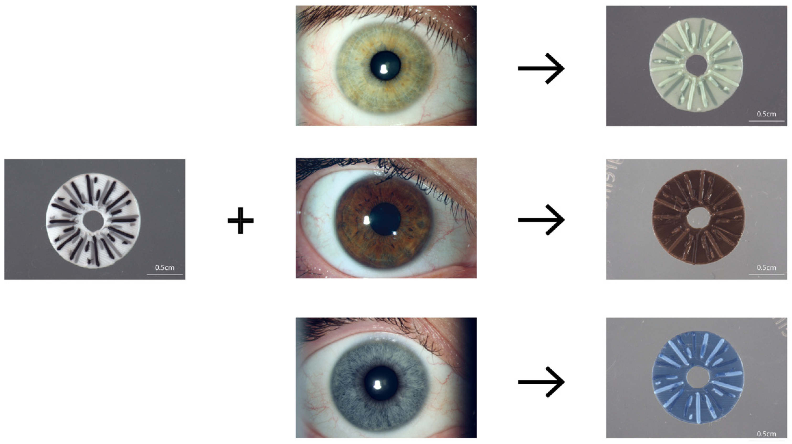 Bioengineering 10 01287 g004