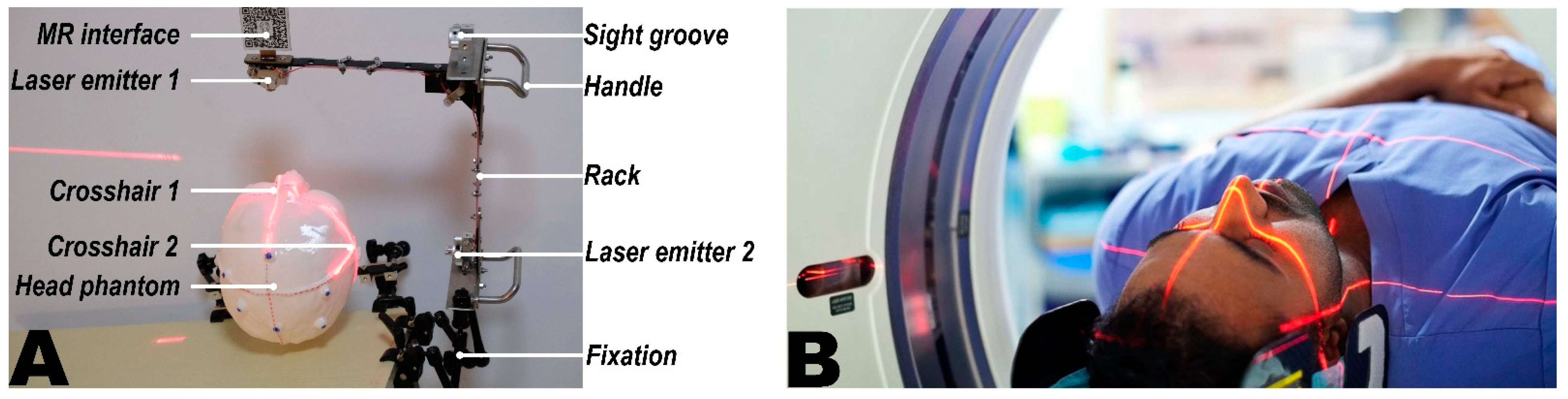 Bioengineering 10 01290 g002