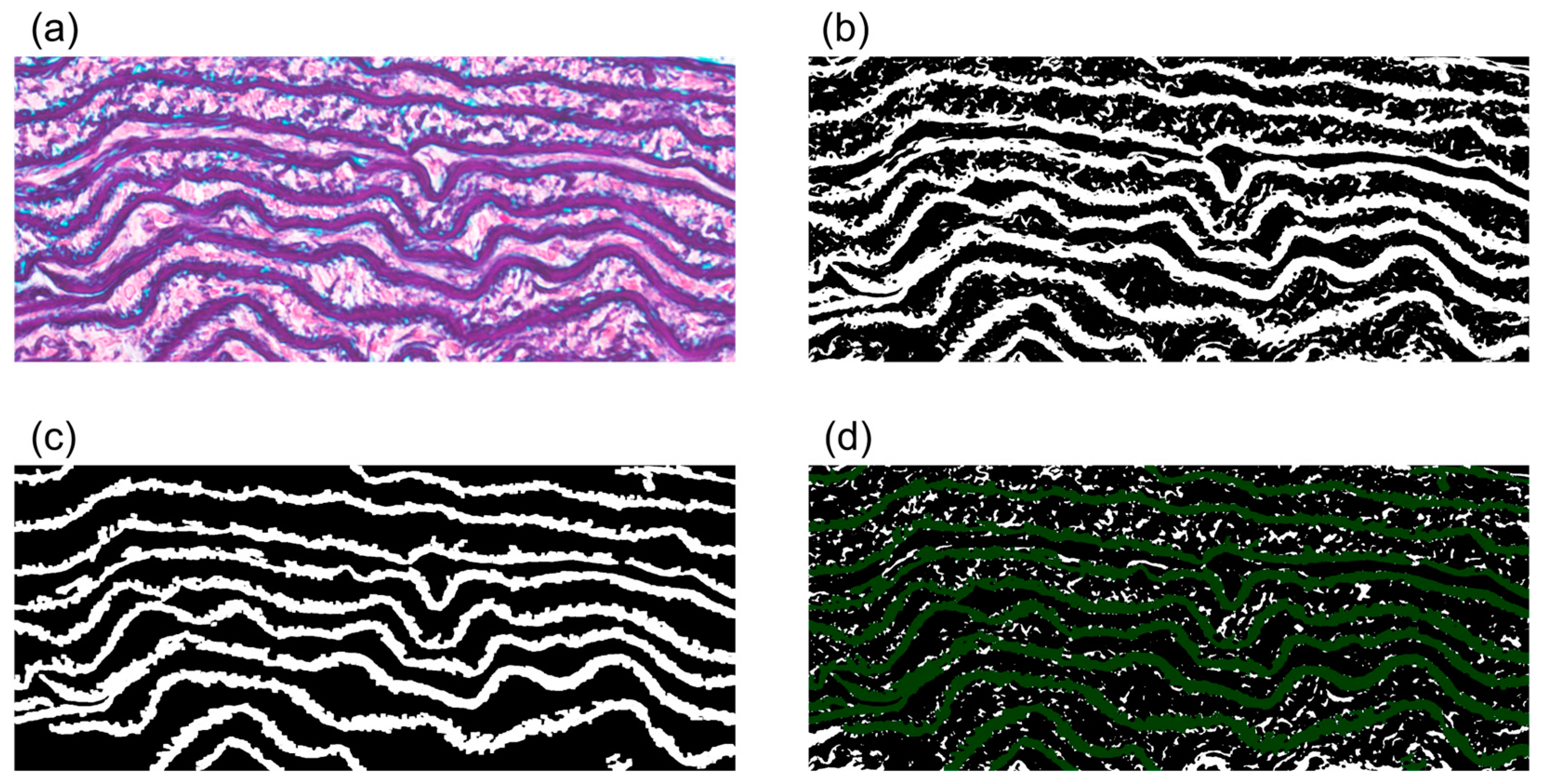 Bioengineering 10 01292 g001 Bioengineering 10 01292 g001