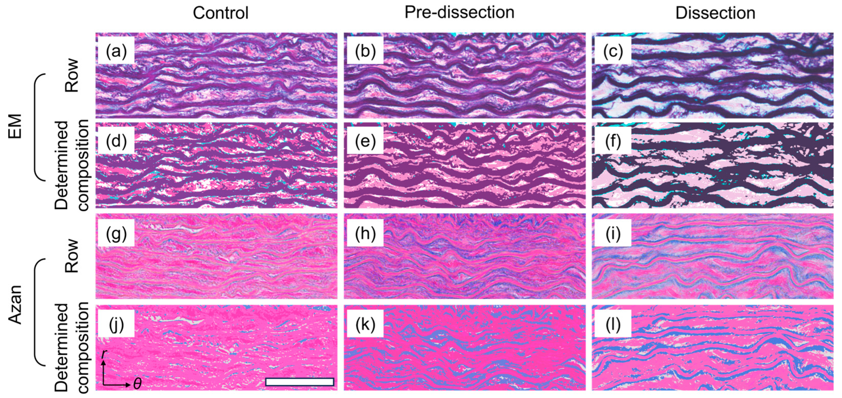 Bioengineering 10 01292 g006 Bioengineering 10 01292 g006