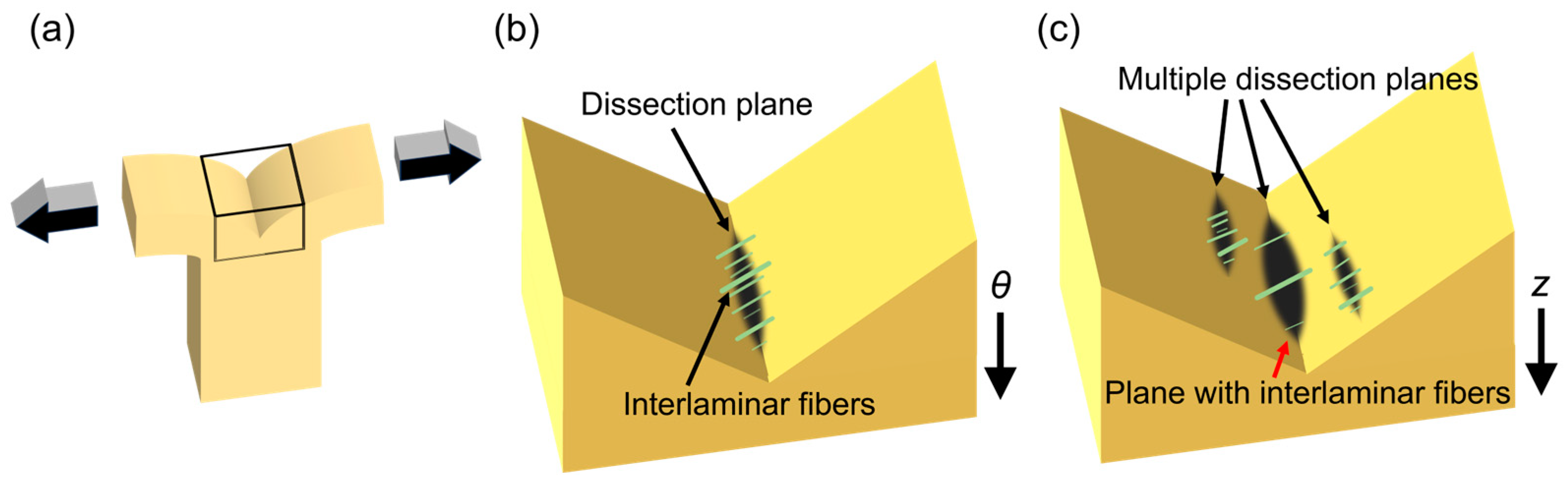 Bioengineering 10 01292 g009 Bioengineering 10 01292 g009