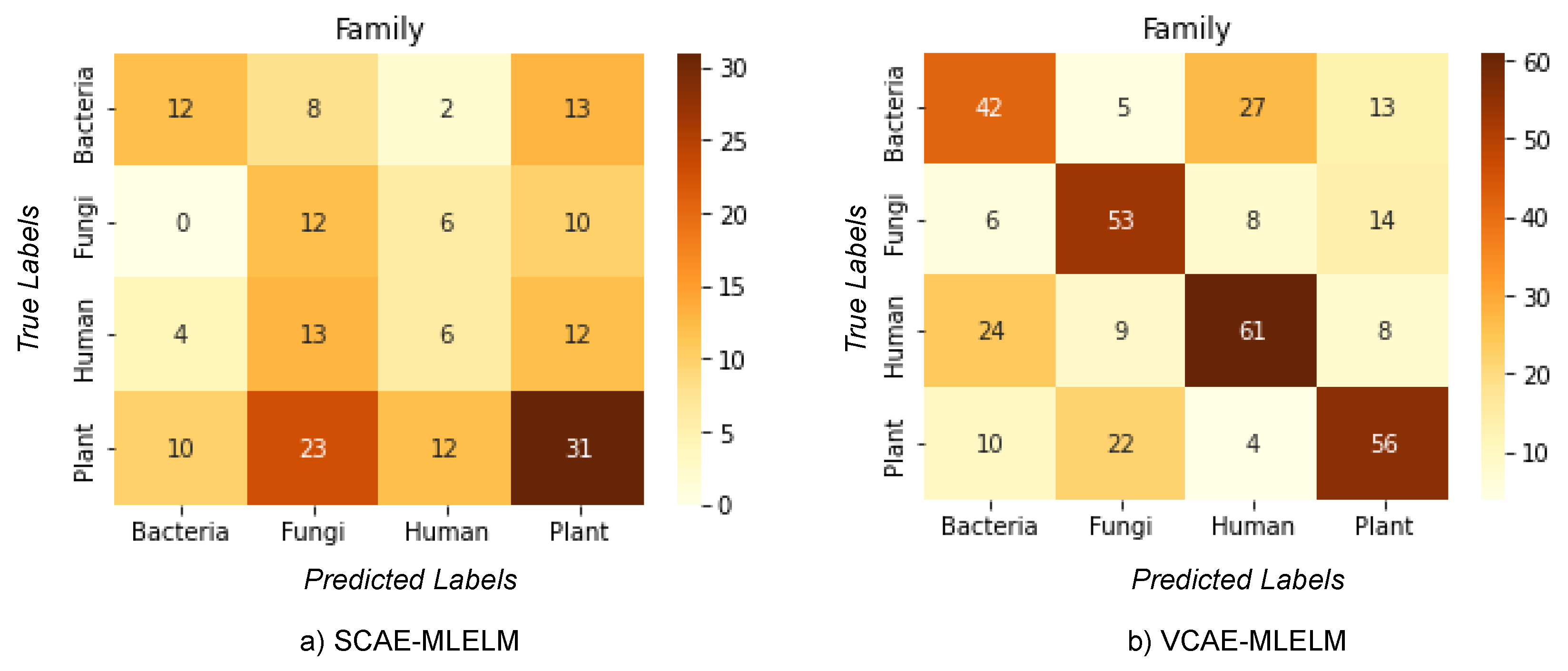 Bioengineering 10 01293 g004