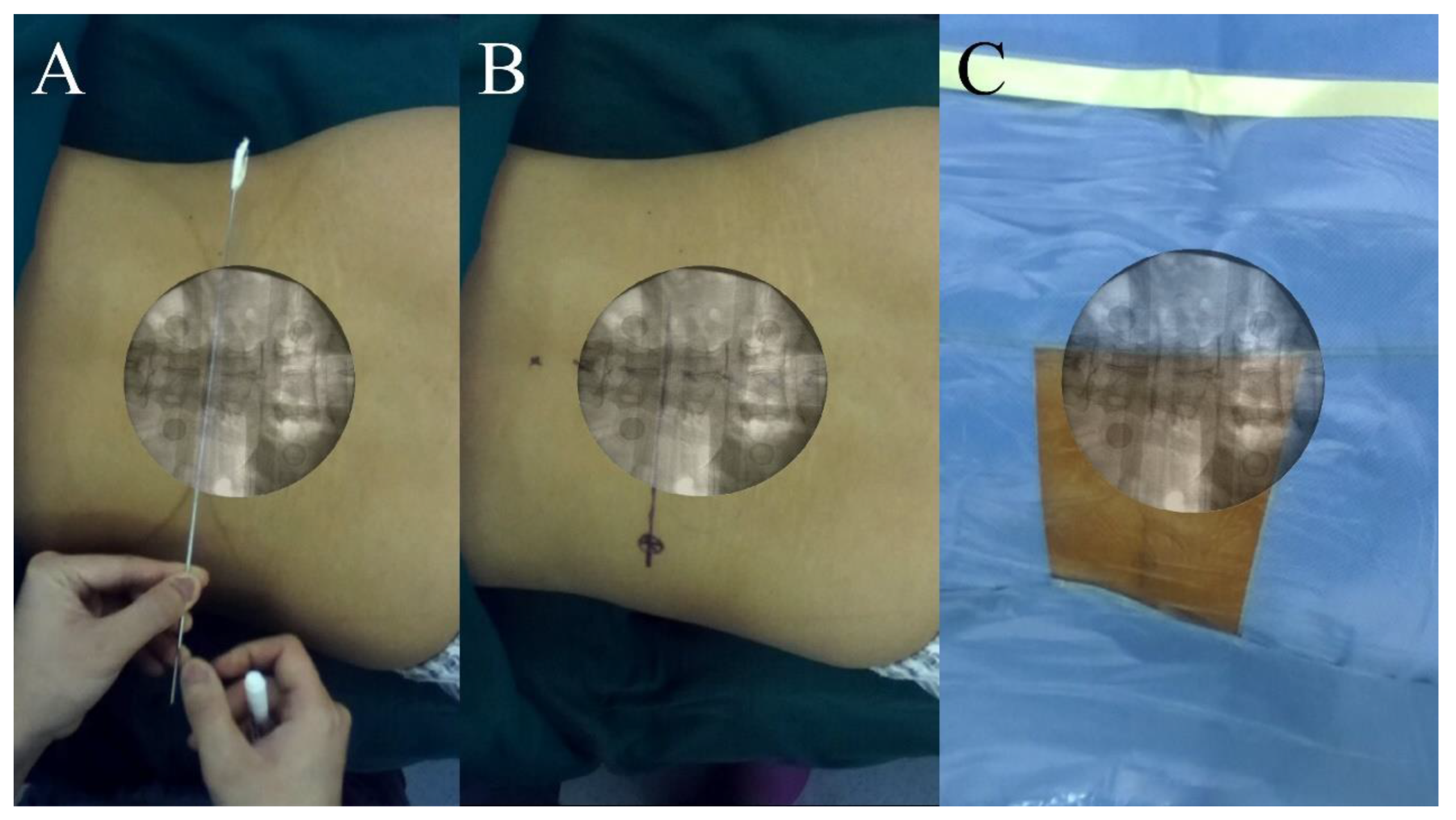 Bioengineering 10 01297 g006