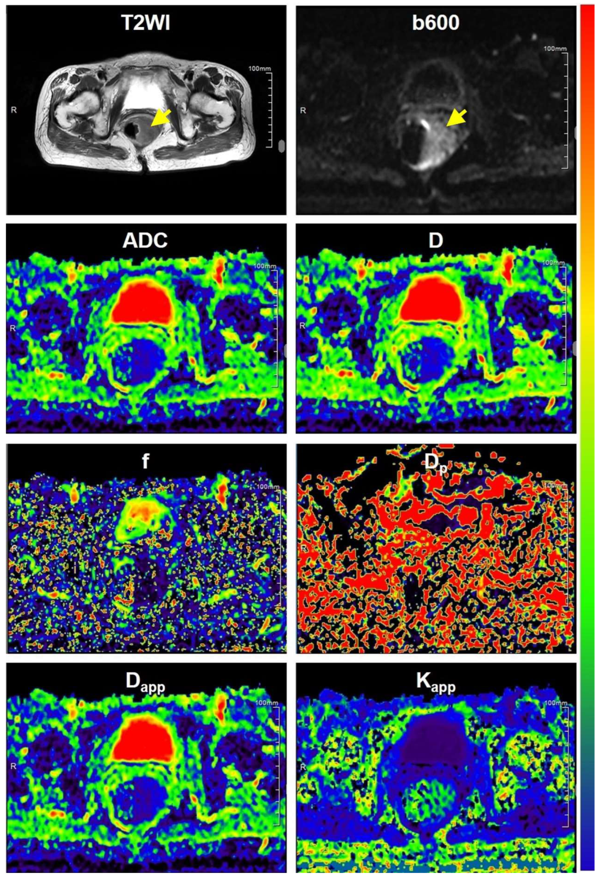 Bioengineering 10 01298 g003