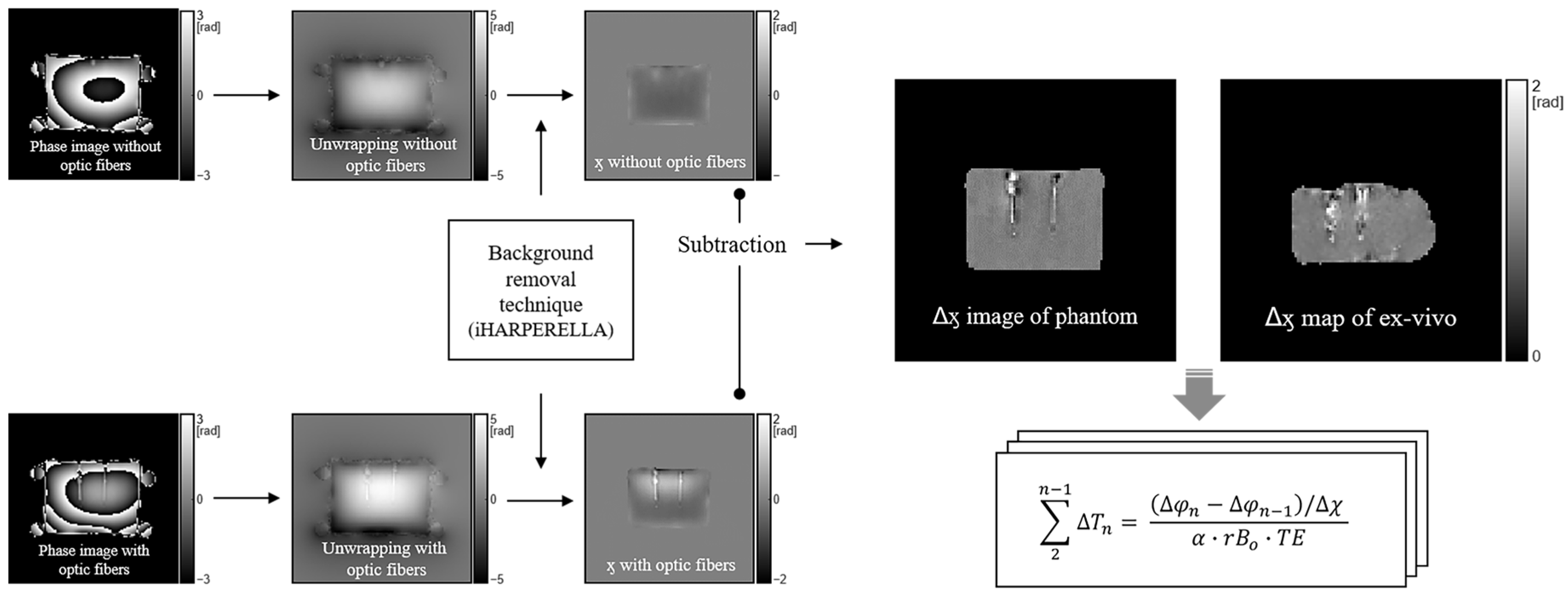 Bioengineering 10 01299 g001 Bioengineering 10 01299 g001