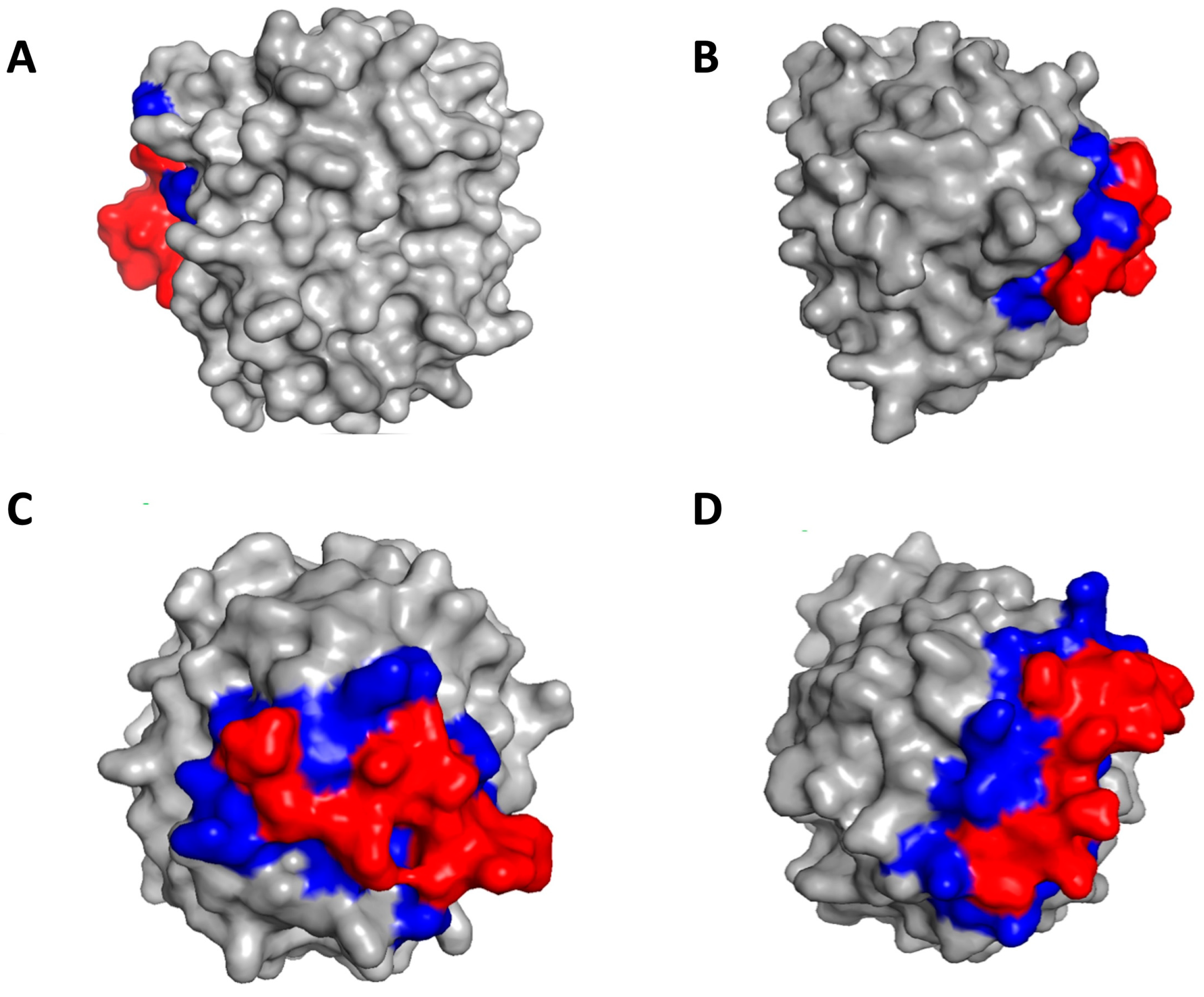 Bioengineering 10 01300 g009