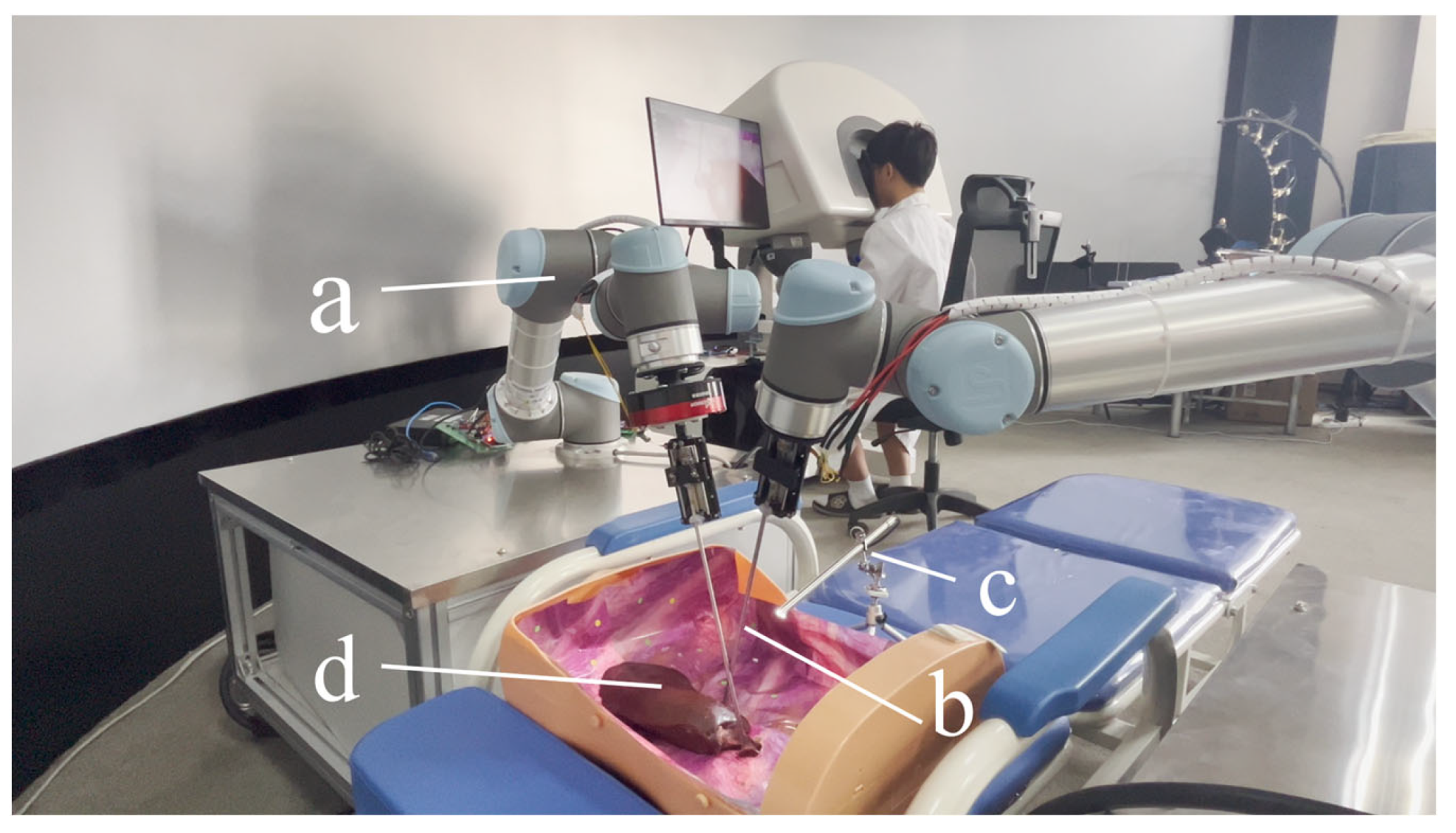 Bioengineering 10 01302 g004