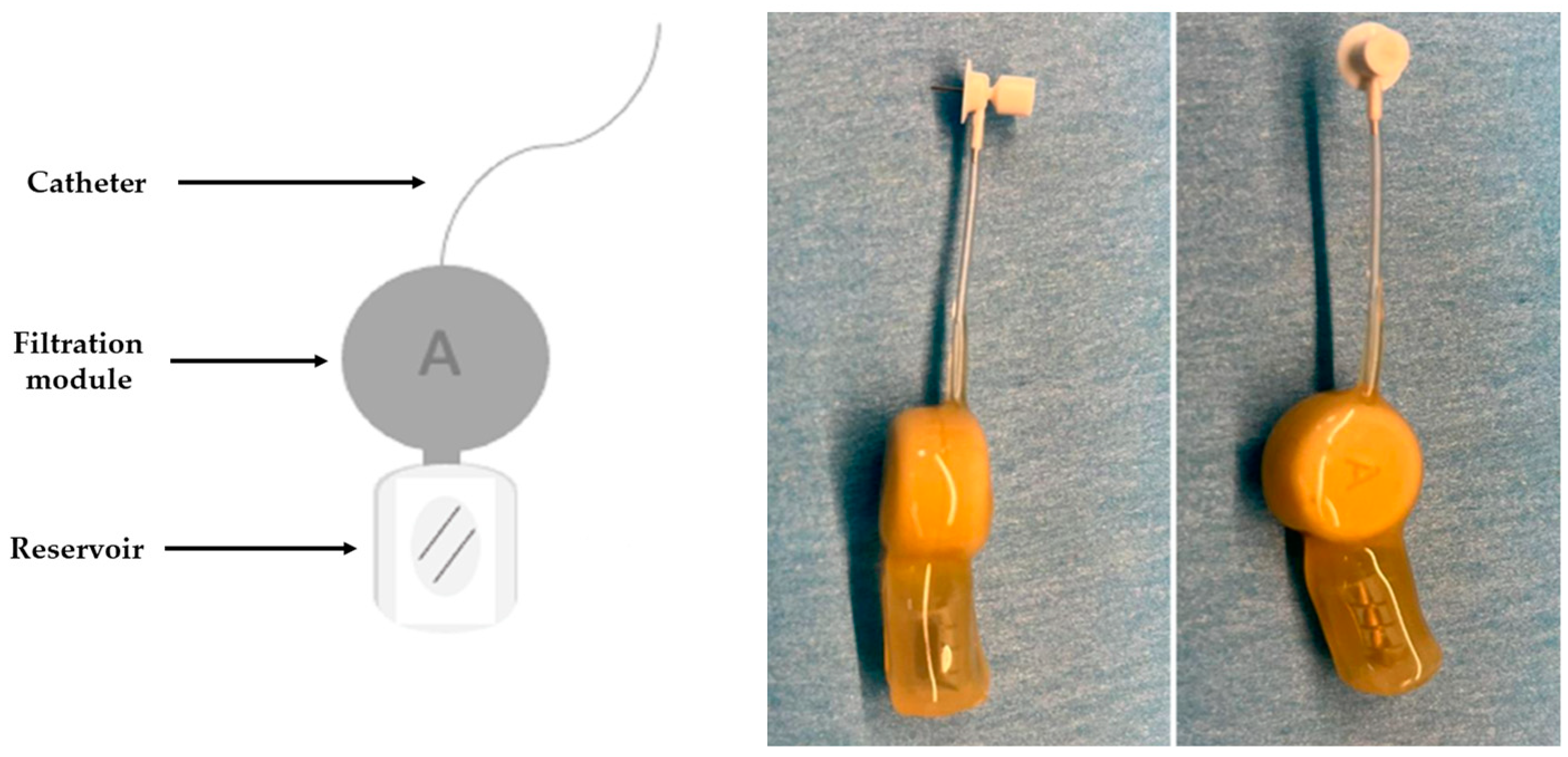 Bioengineering 10 01303 g001