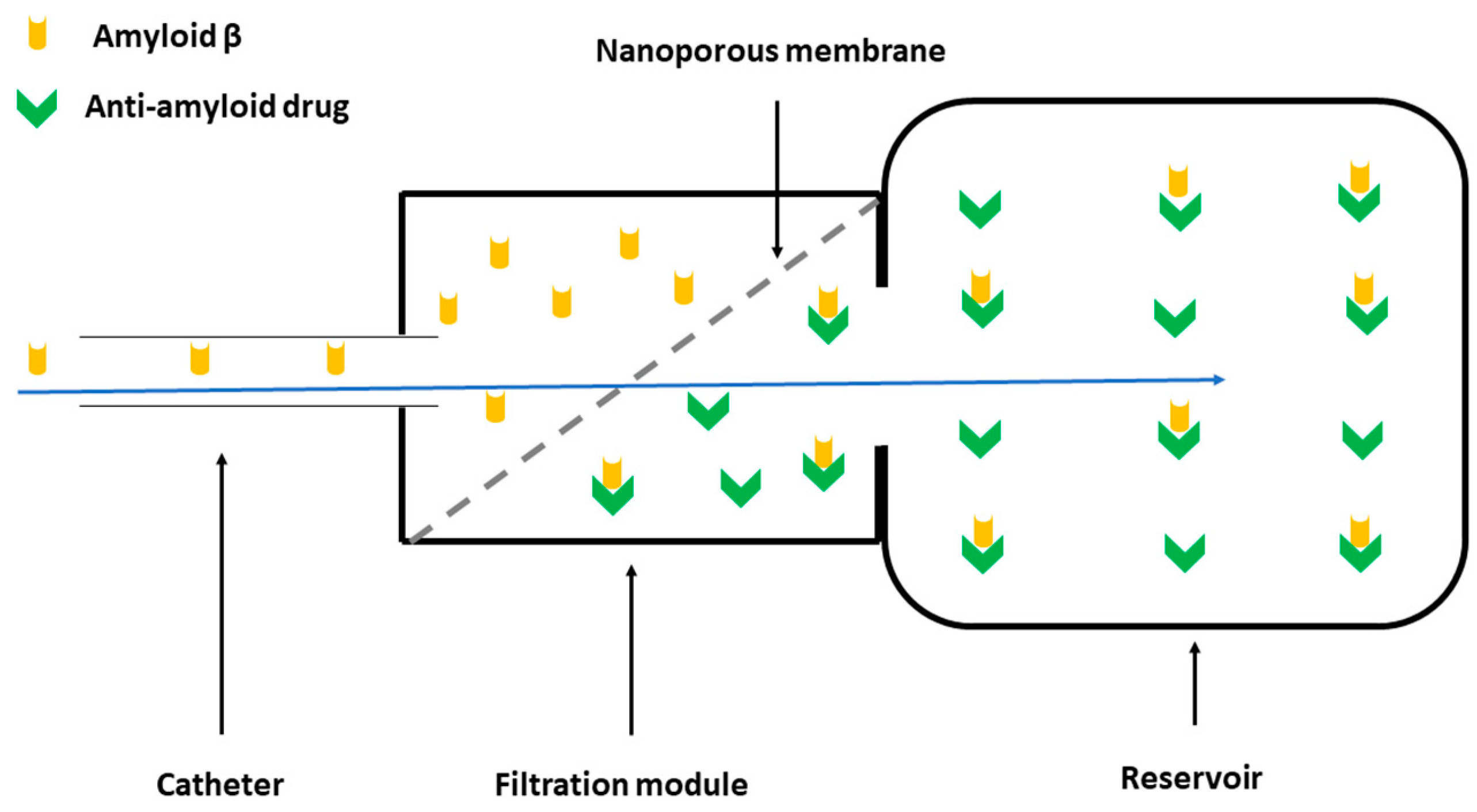 Bioengineering 10 01303 g002