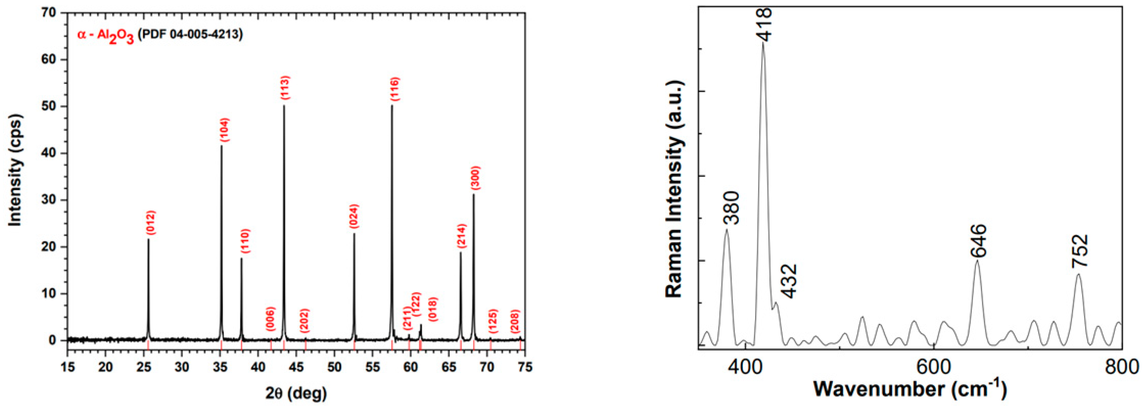 Bioengineering 10 01303 g004