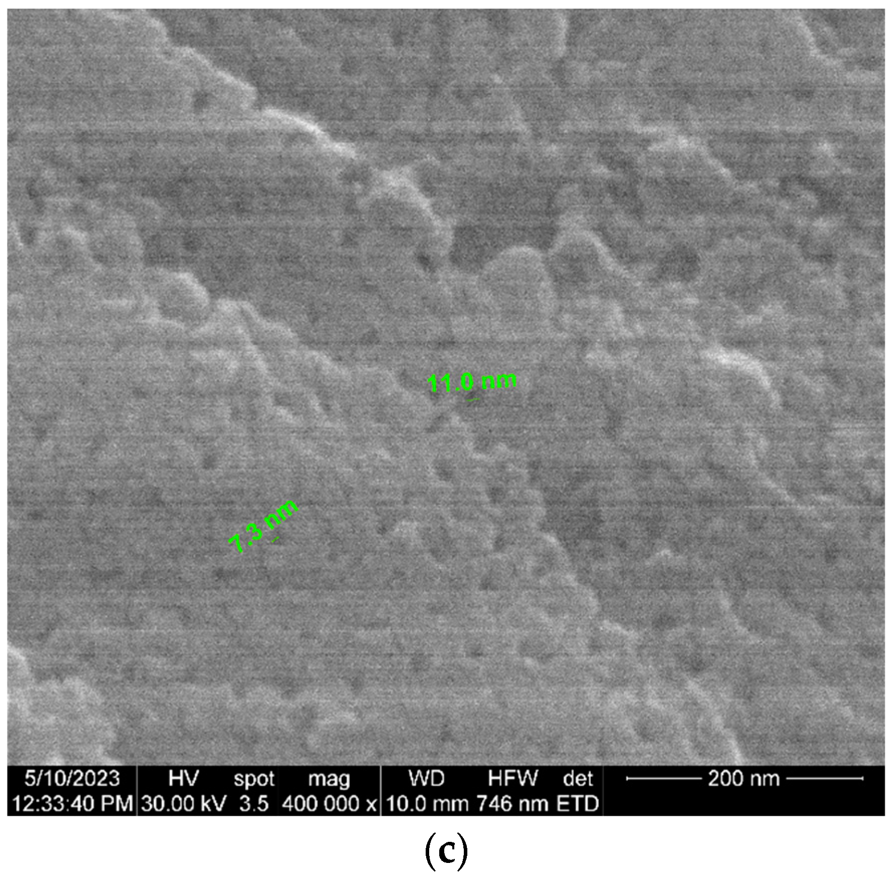 Bioengineering 10 01303 g009b
