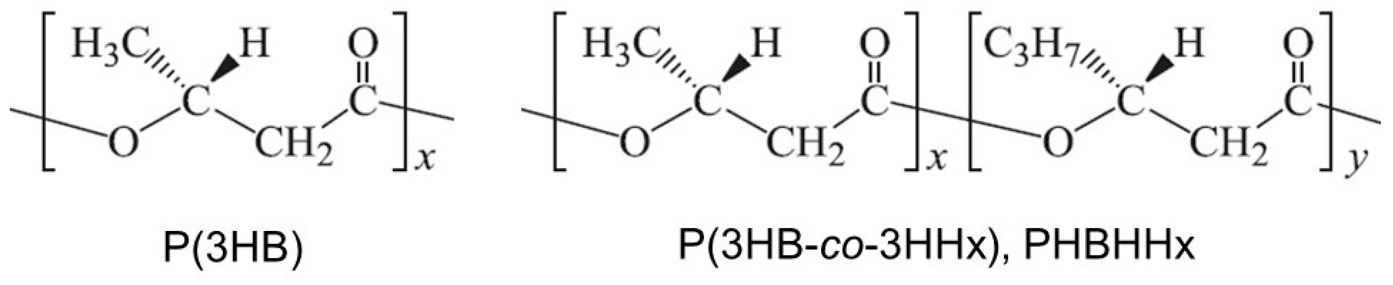 Bioengineering 10 01304 g001