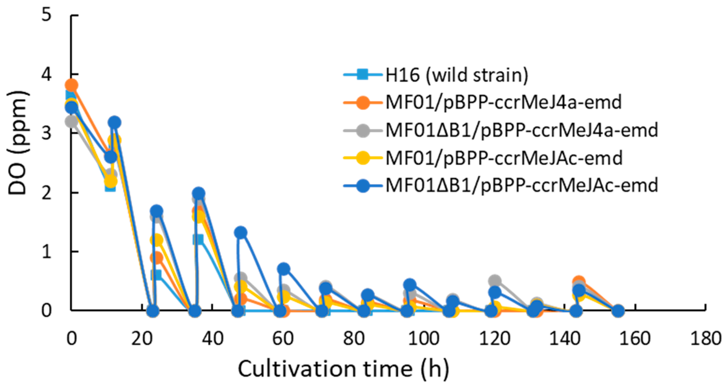 Bioengineering 10 01304 g004