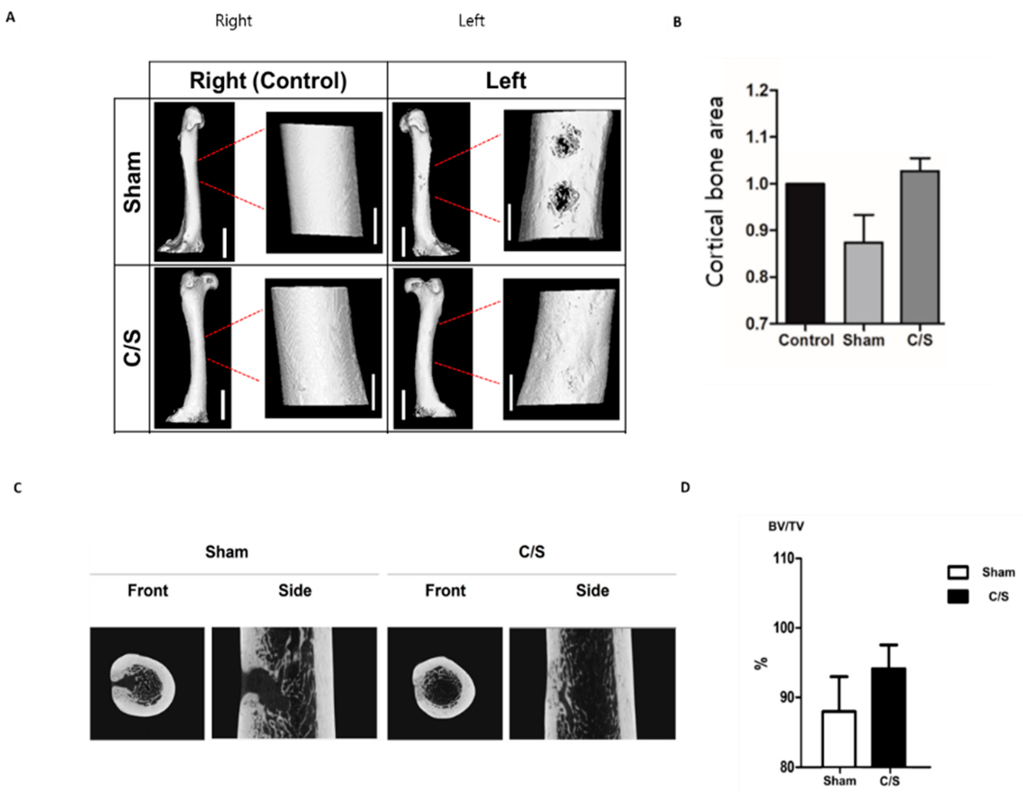 Bioengineering 10 01311 g006