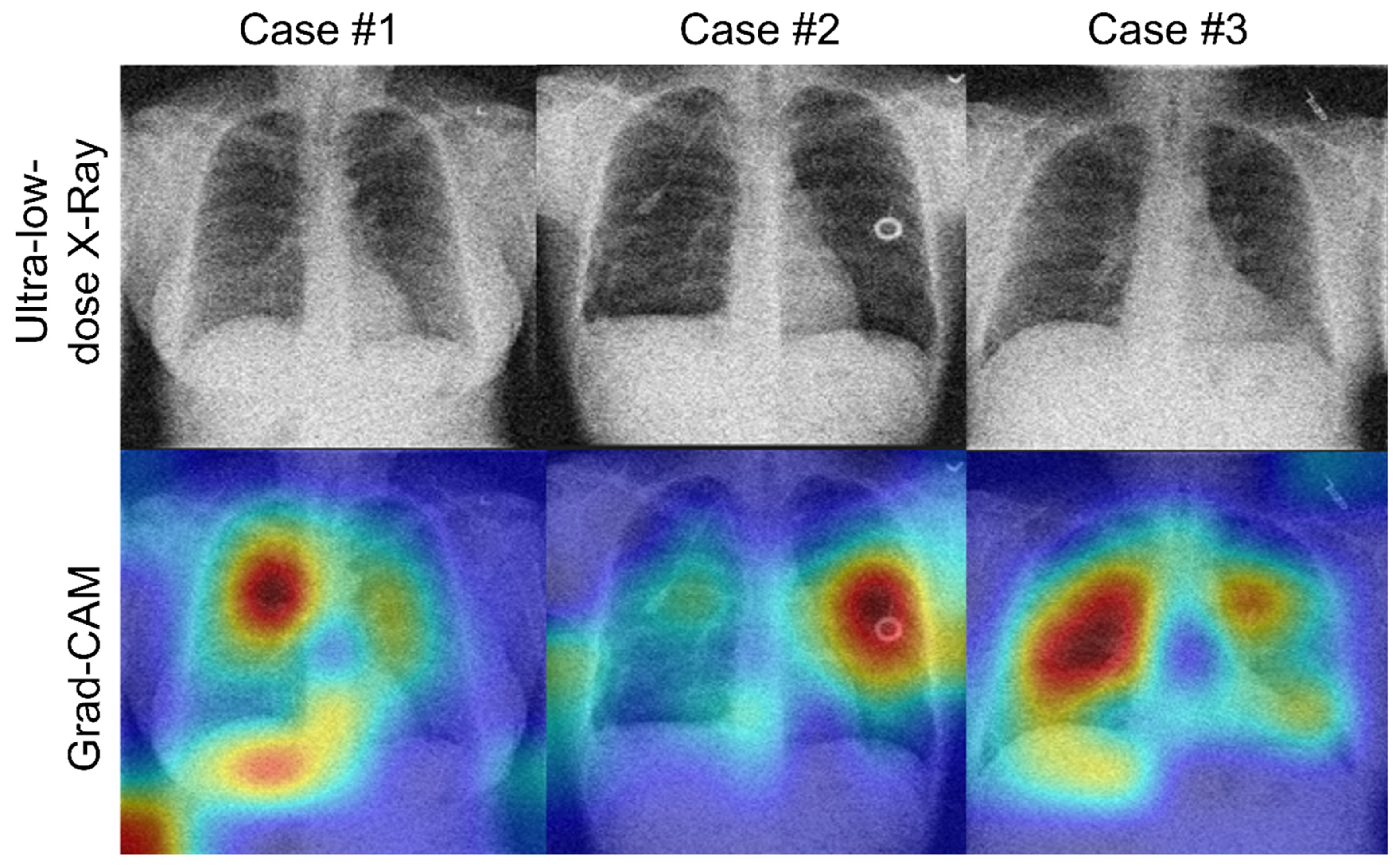 Bioengineering 10 01314 g006