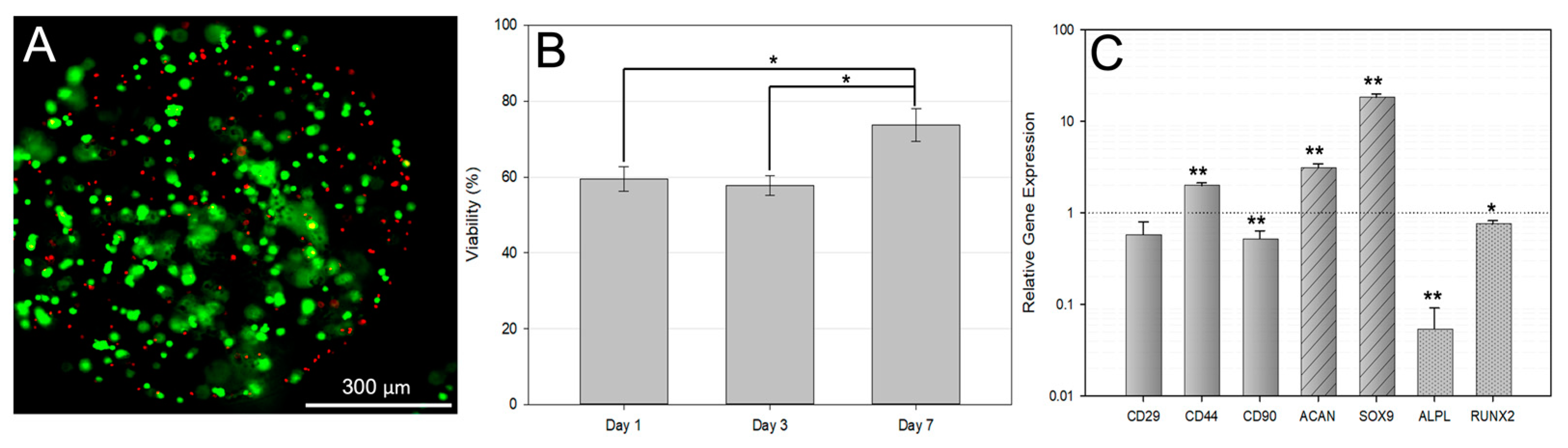Bioengineering 10 01315 g003