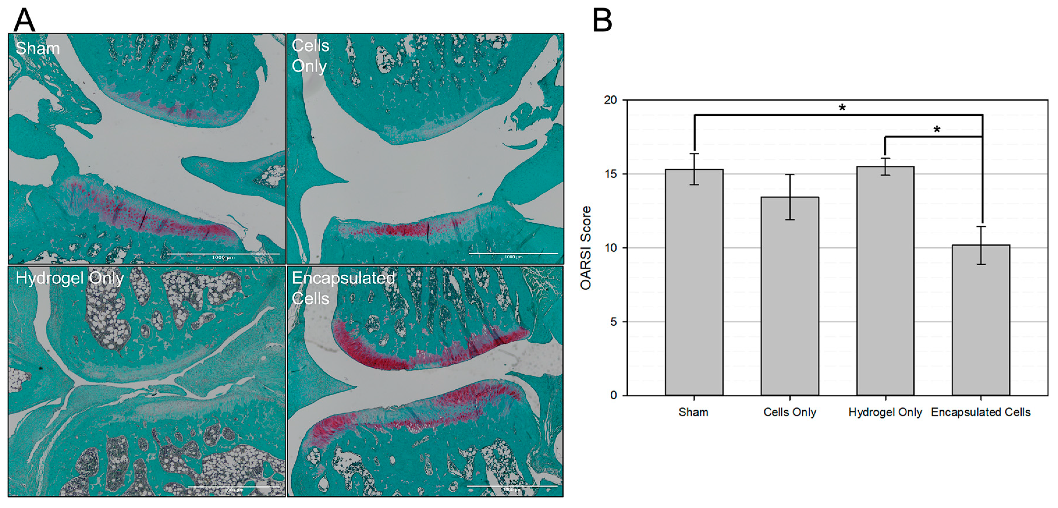 Bioengineering 10 01315 g008