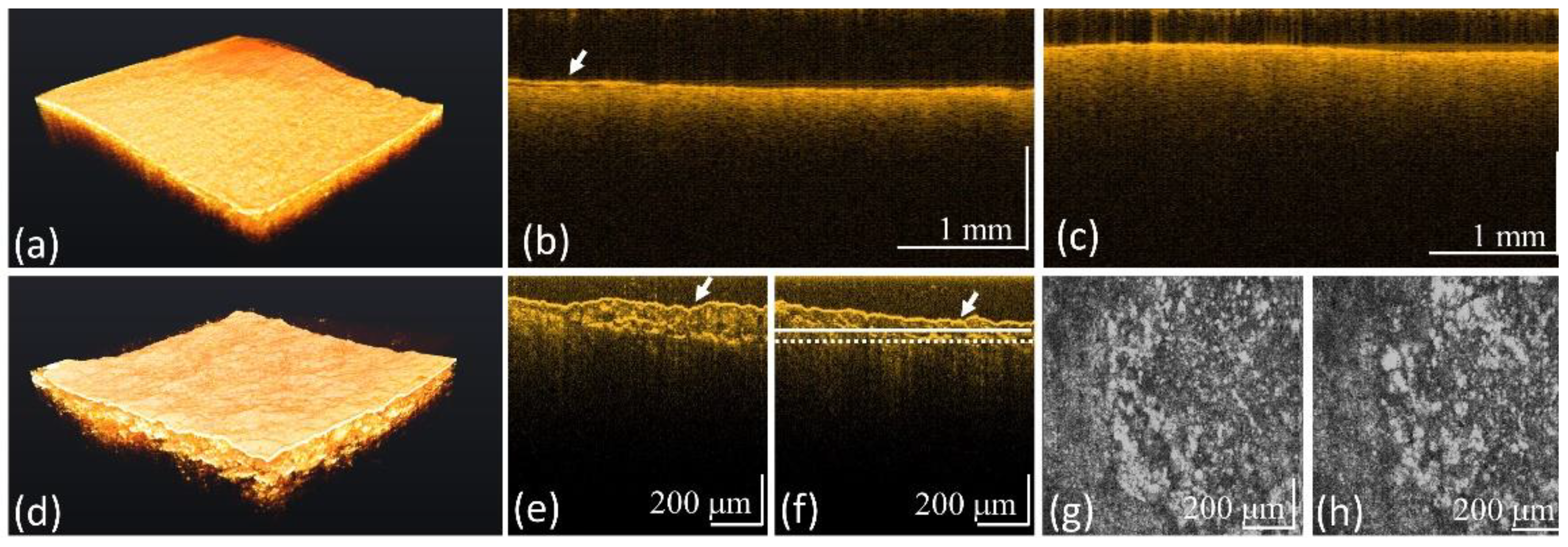 Bioengineering 10 01317 g005
