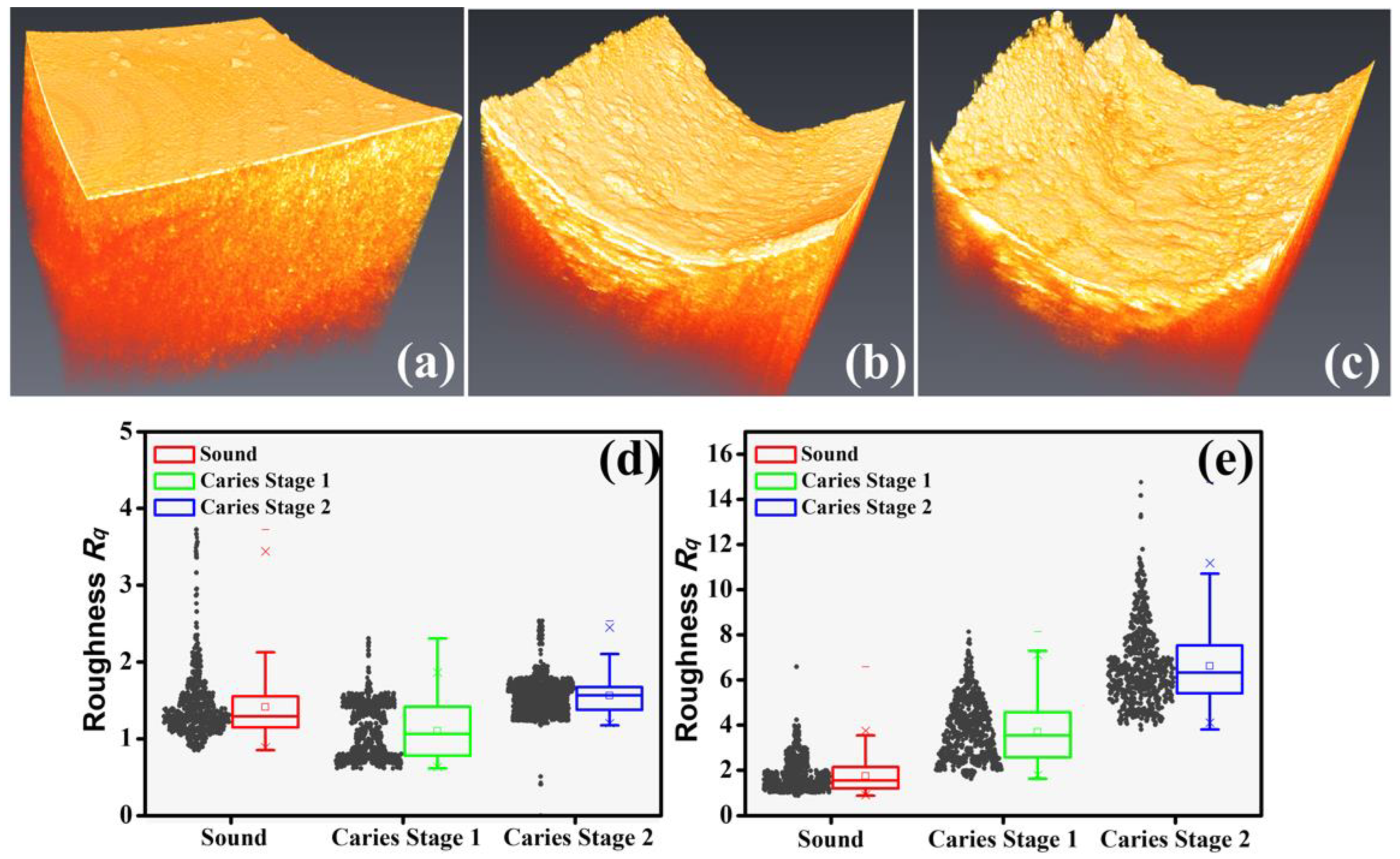 Bioengineering 10 01317 g006