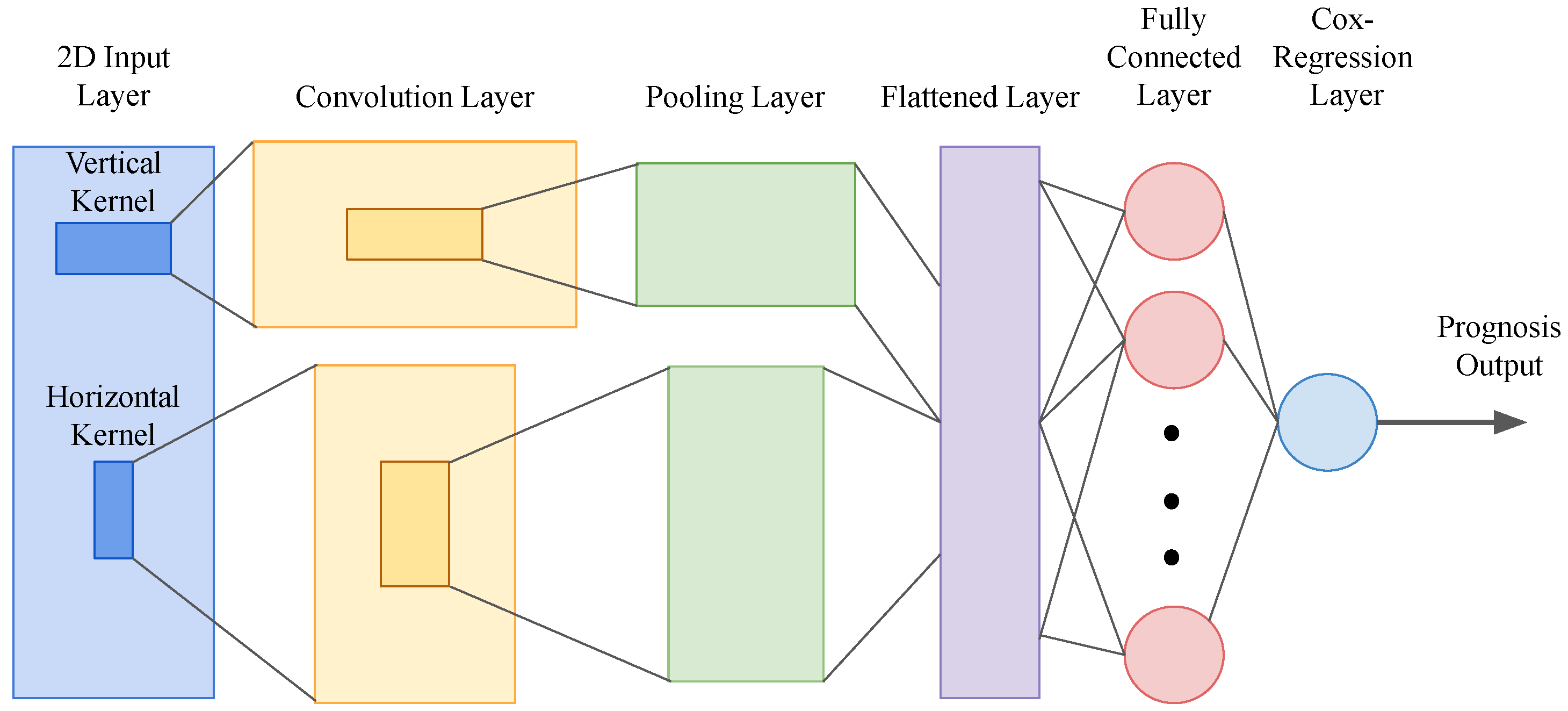 Bioengineering 10 01320 g001