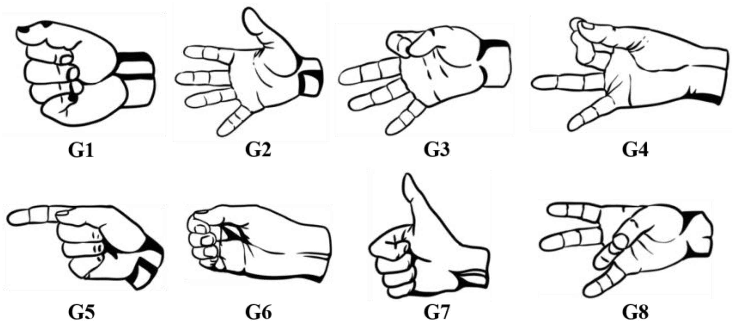 Bioengineering 10 01324 g001