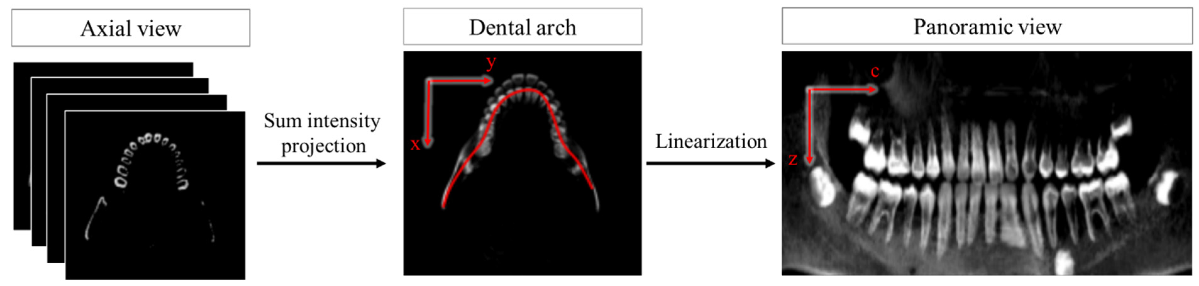 Bioengineering 10 01326 g003