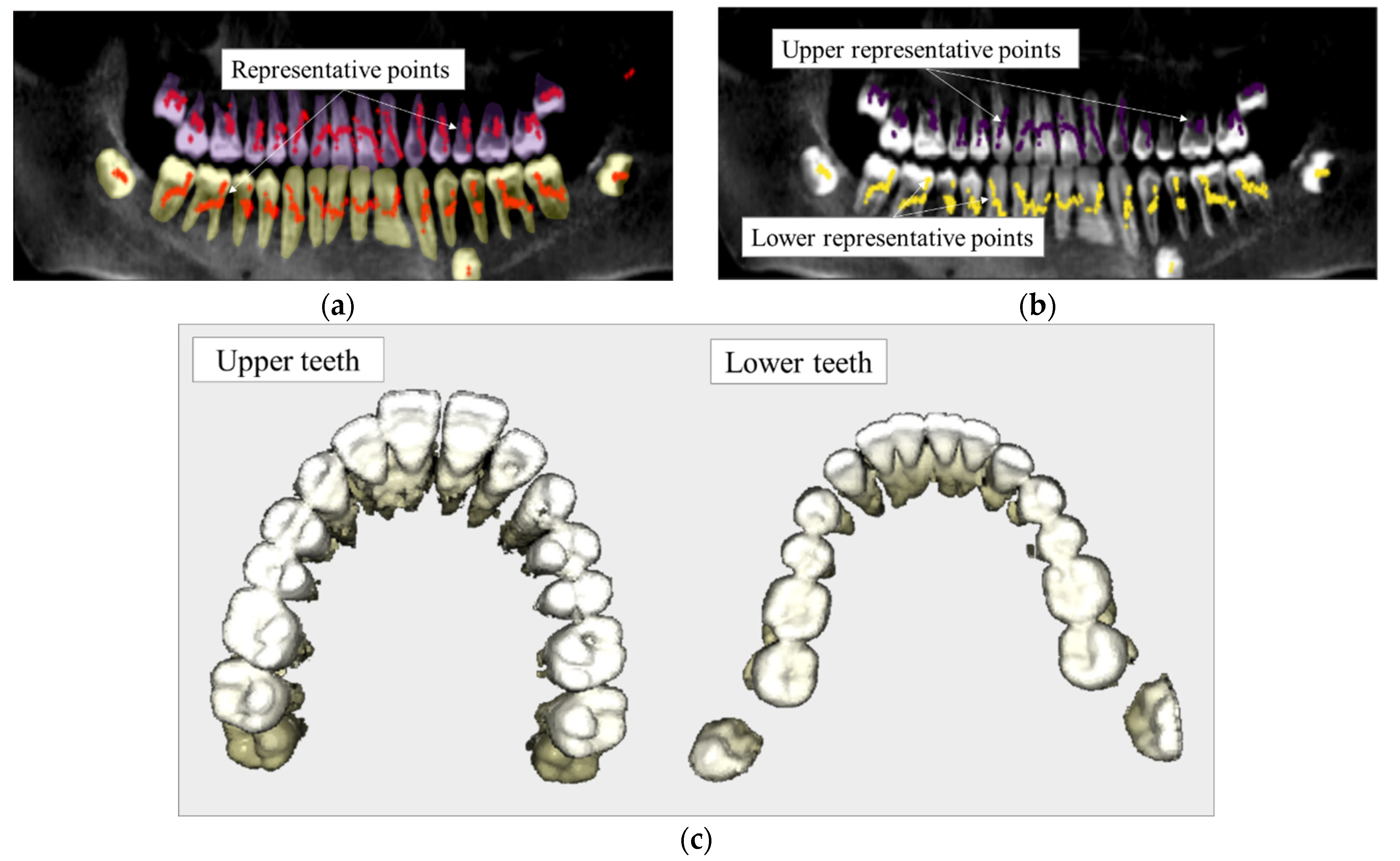 Bioengineering 10 01326 g004