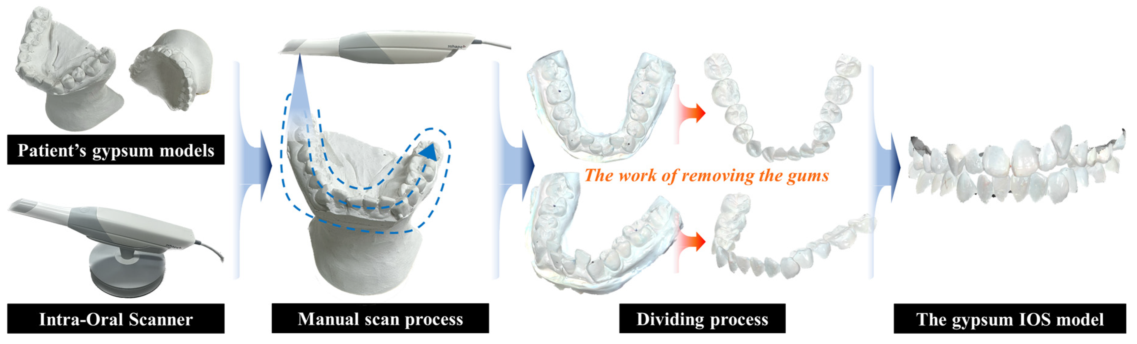 Bioengineering 10 01326 g006