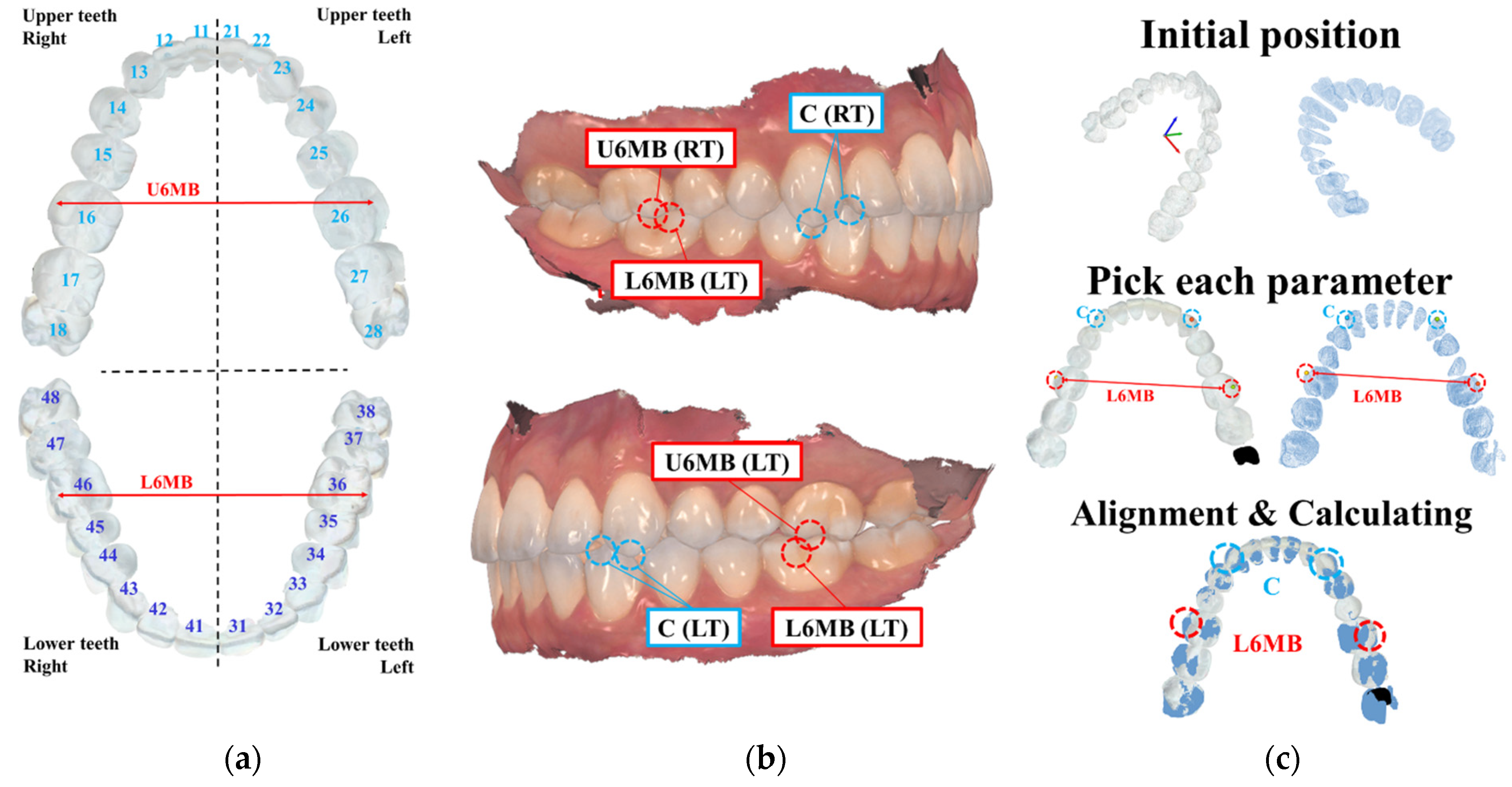 Bioengineering 10 01326 g011