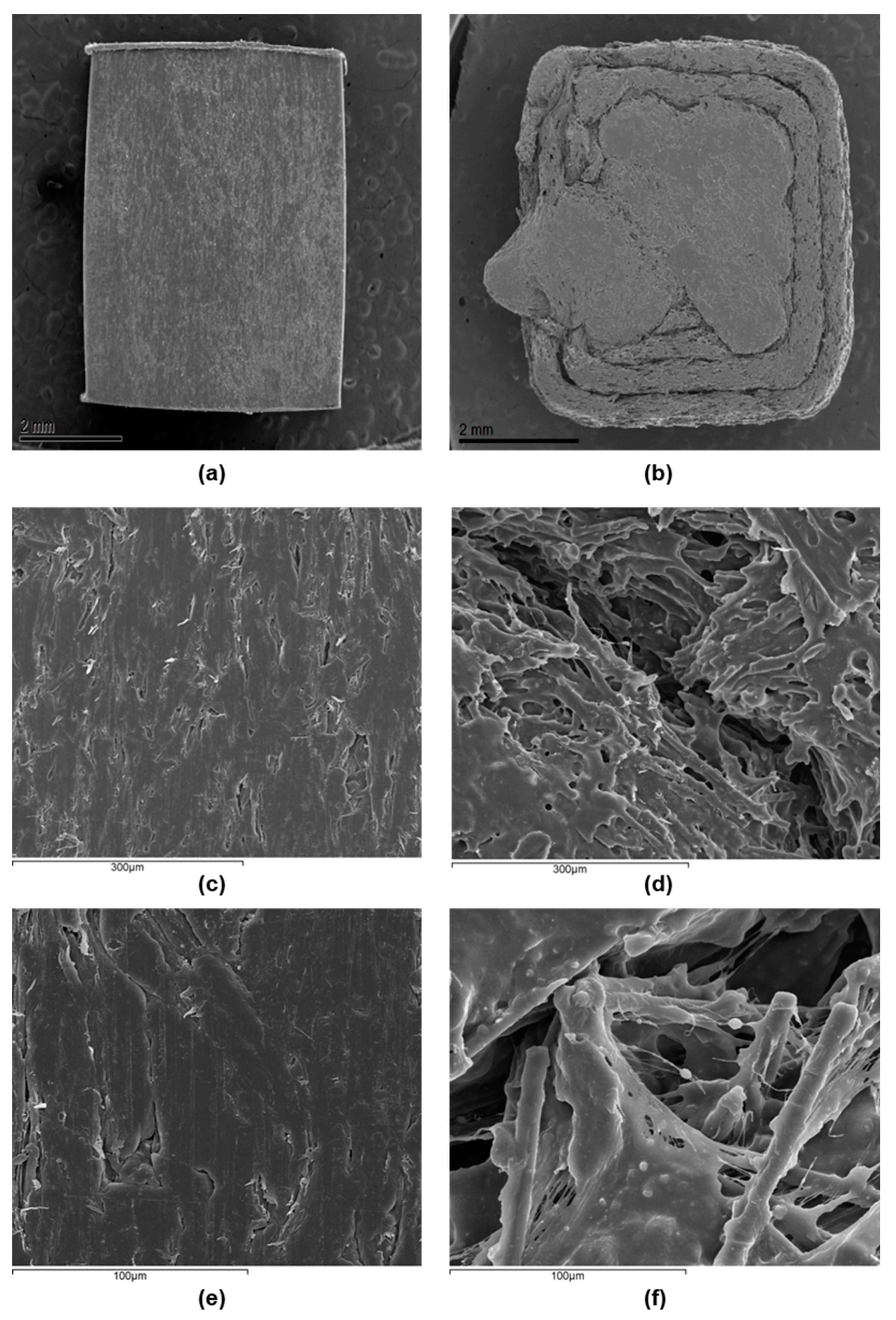Bioengineering 10 01327 g003