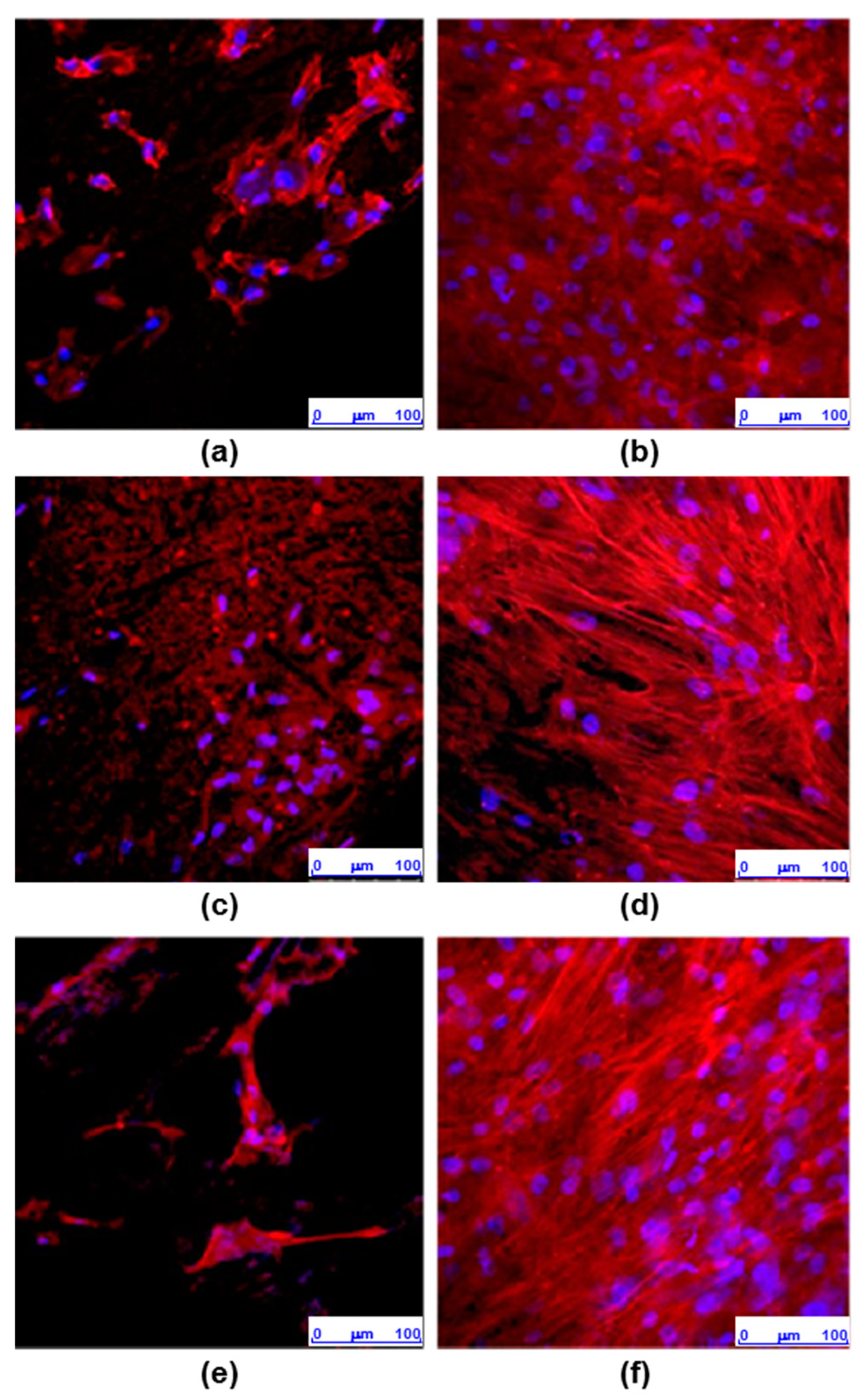 Bioengineering 10 01327 g008