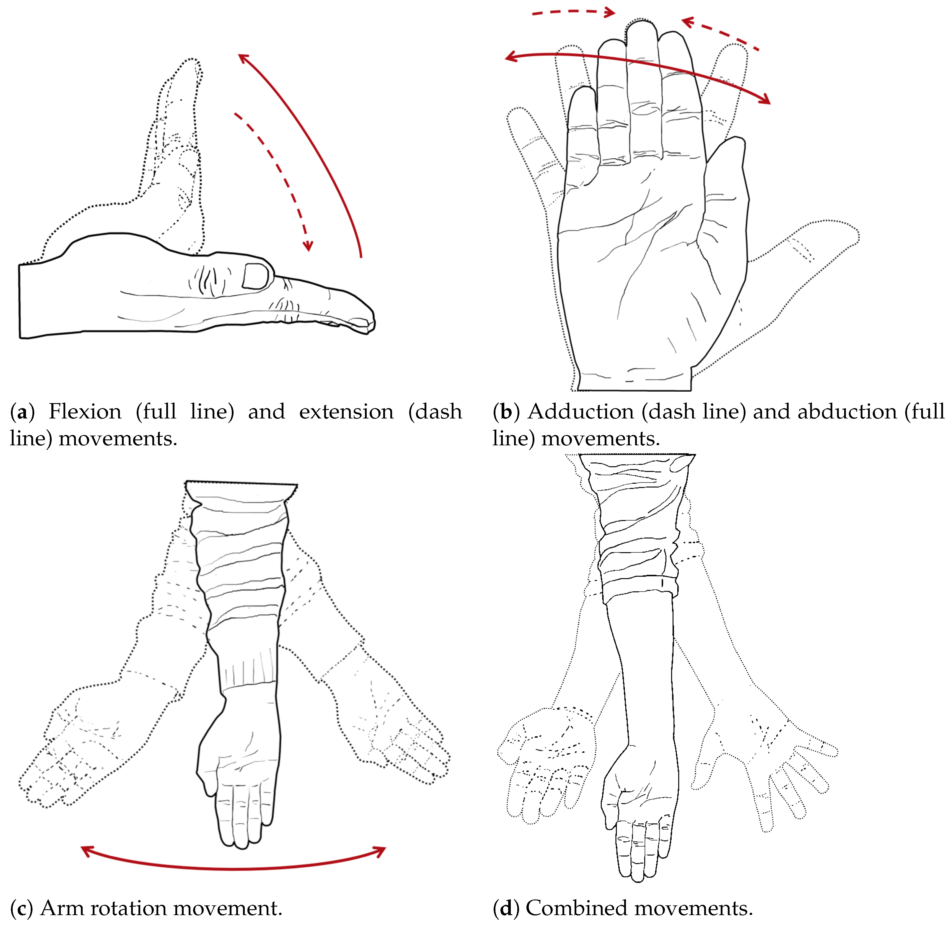 Bioengineering 10 01328 g001