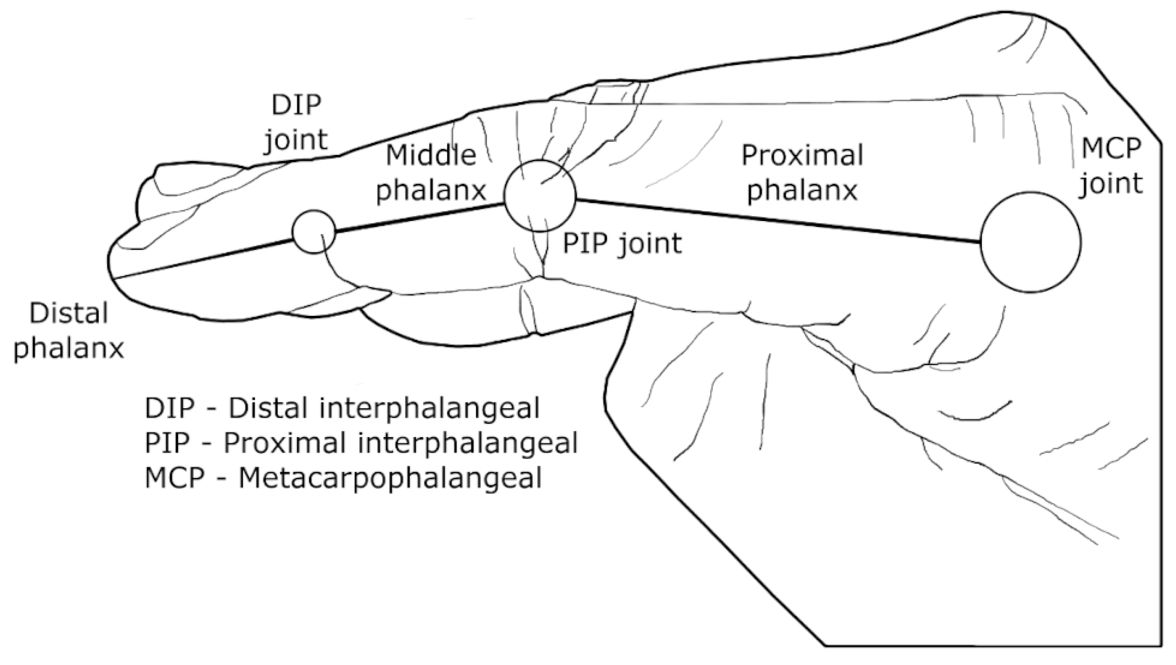 Bioengineering 10 01328 g002