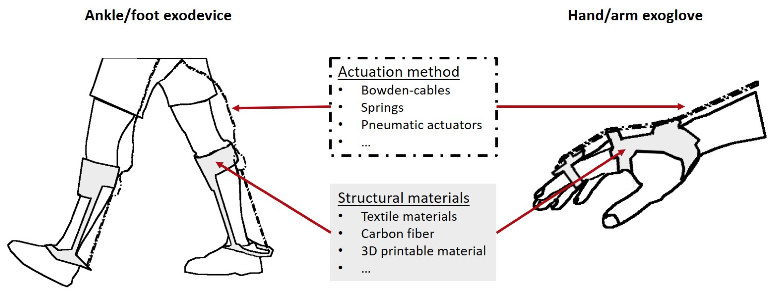 Bioengineering 10 01328 g010