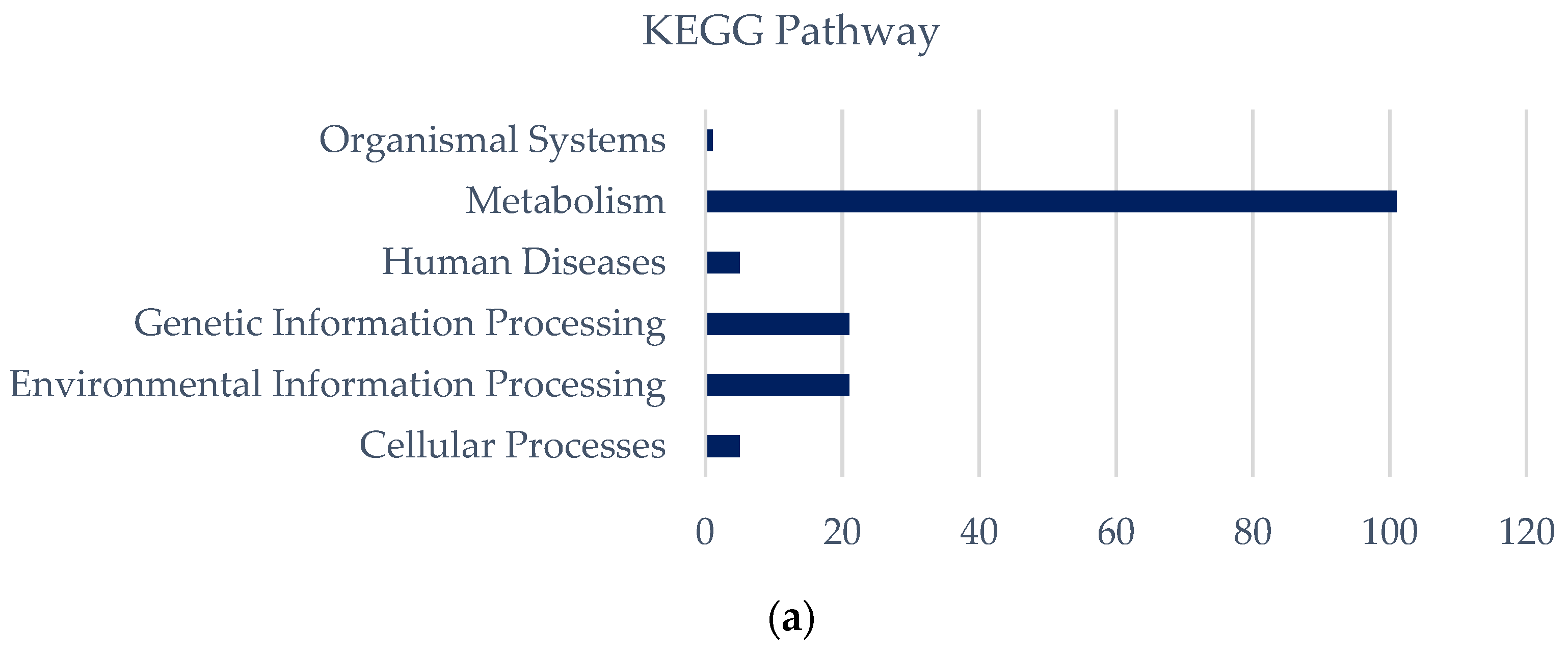 Bioengineering 10 01329 g008a