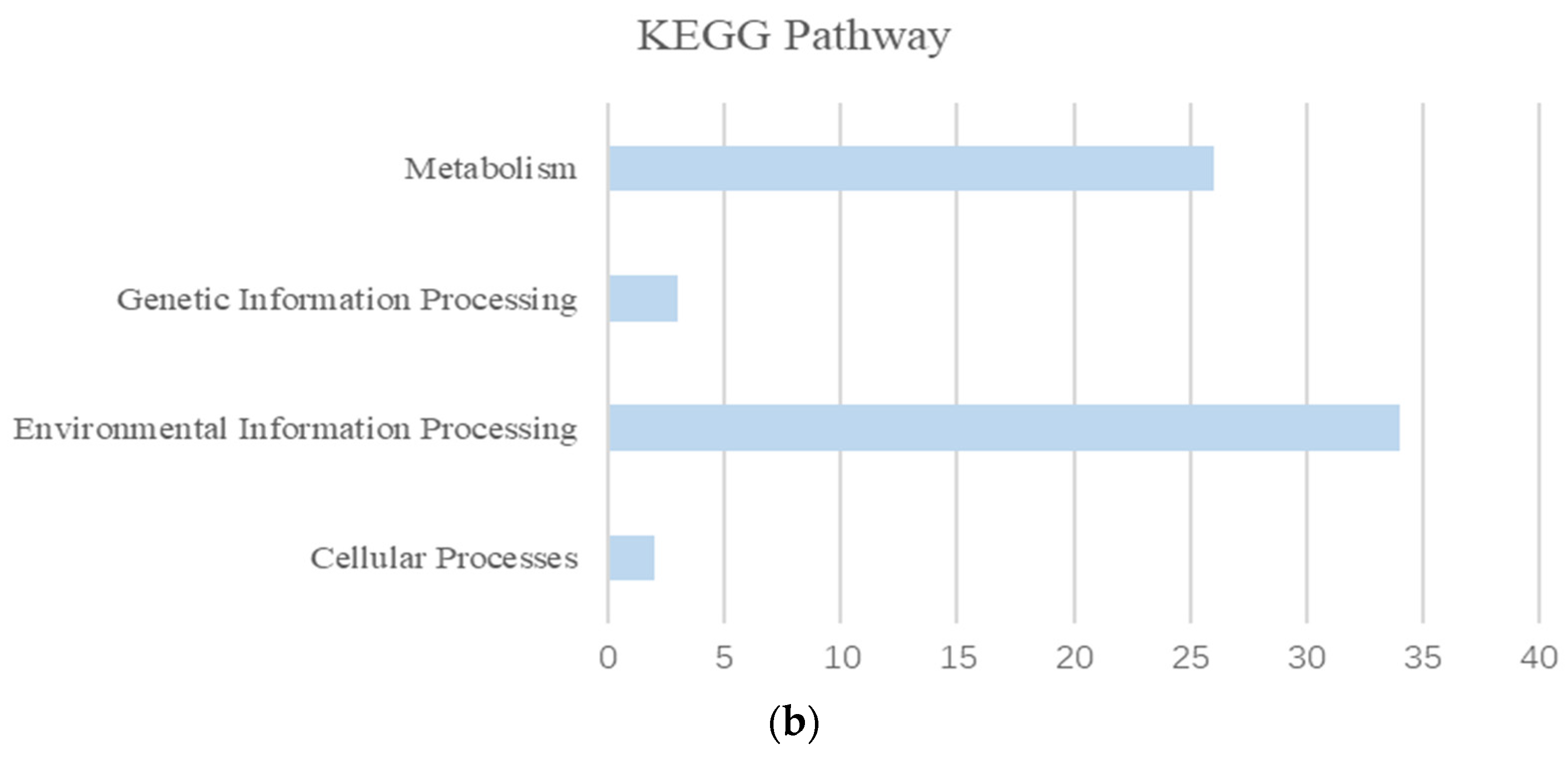 Bioengineering 10 01329 g008b