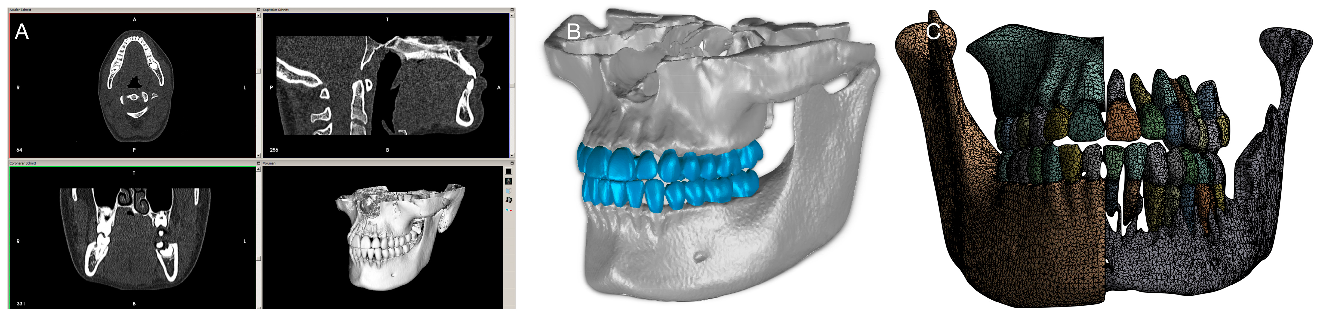 Bioengineering 10 01330 g001