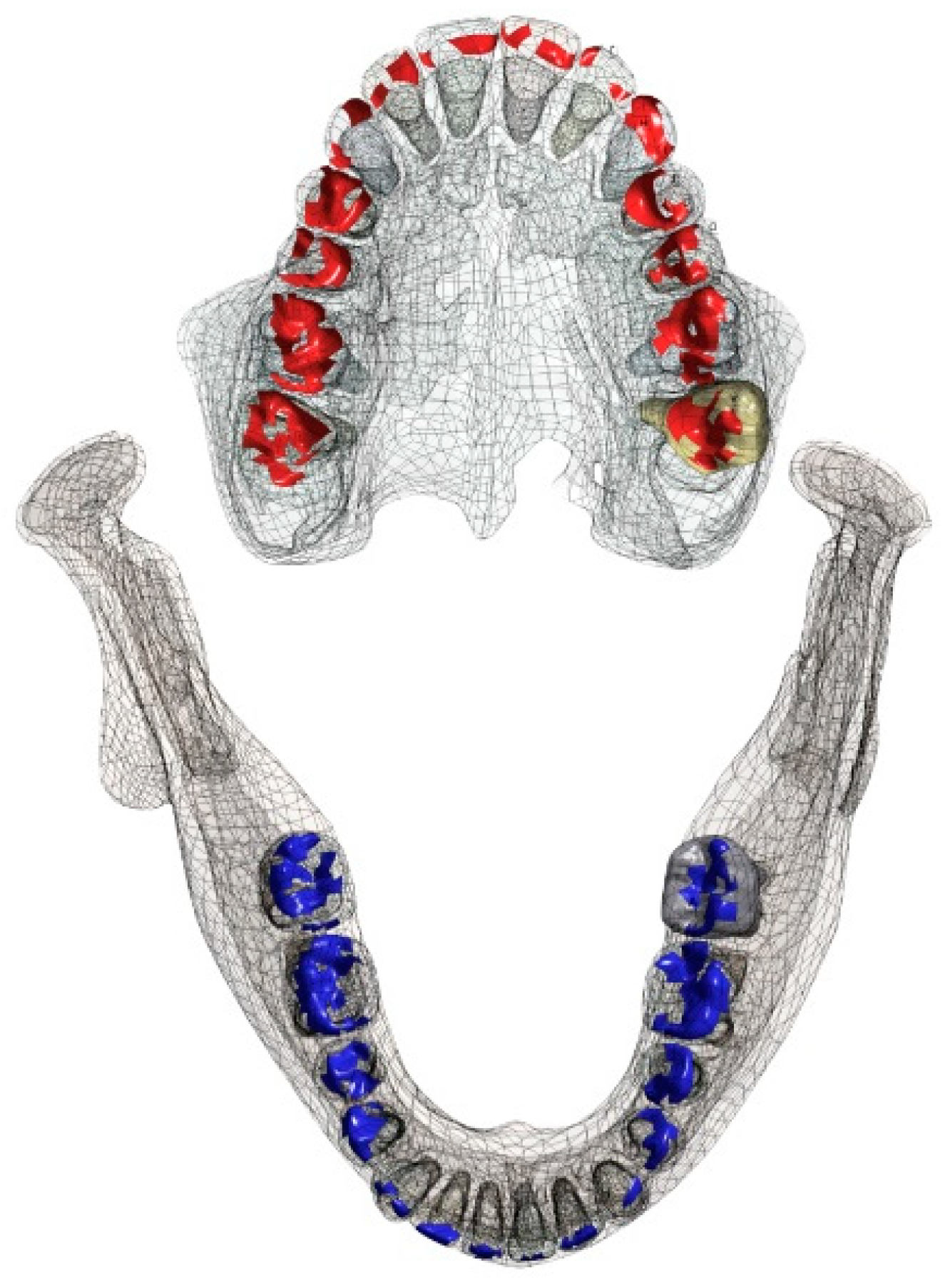 Bioengineering 10 01330 g004