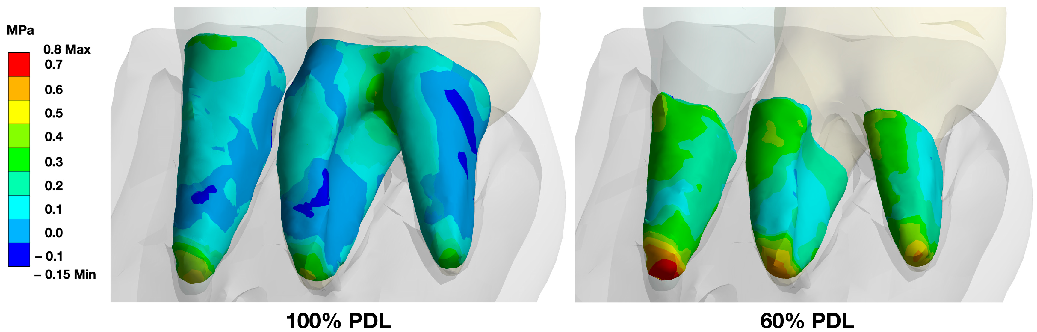 Bioengineering 10 01330 g008