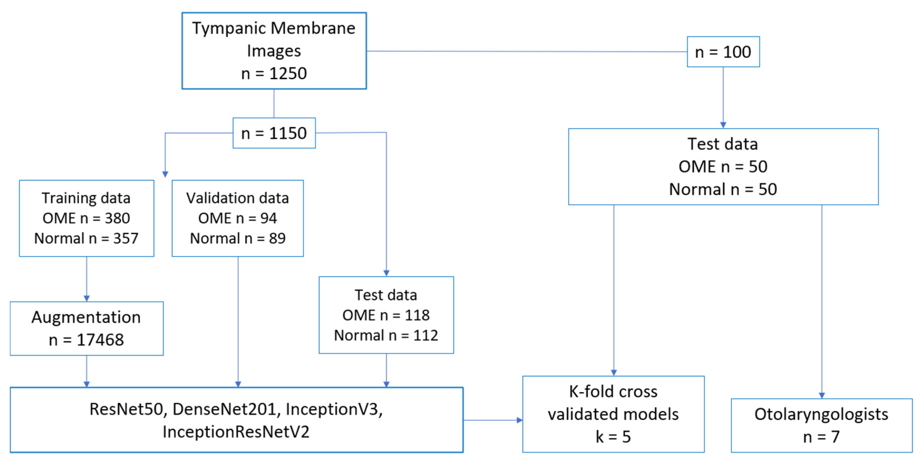 Bioengineering 10 01337 g001