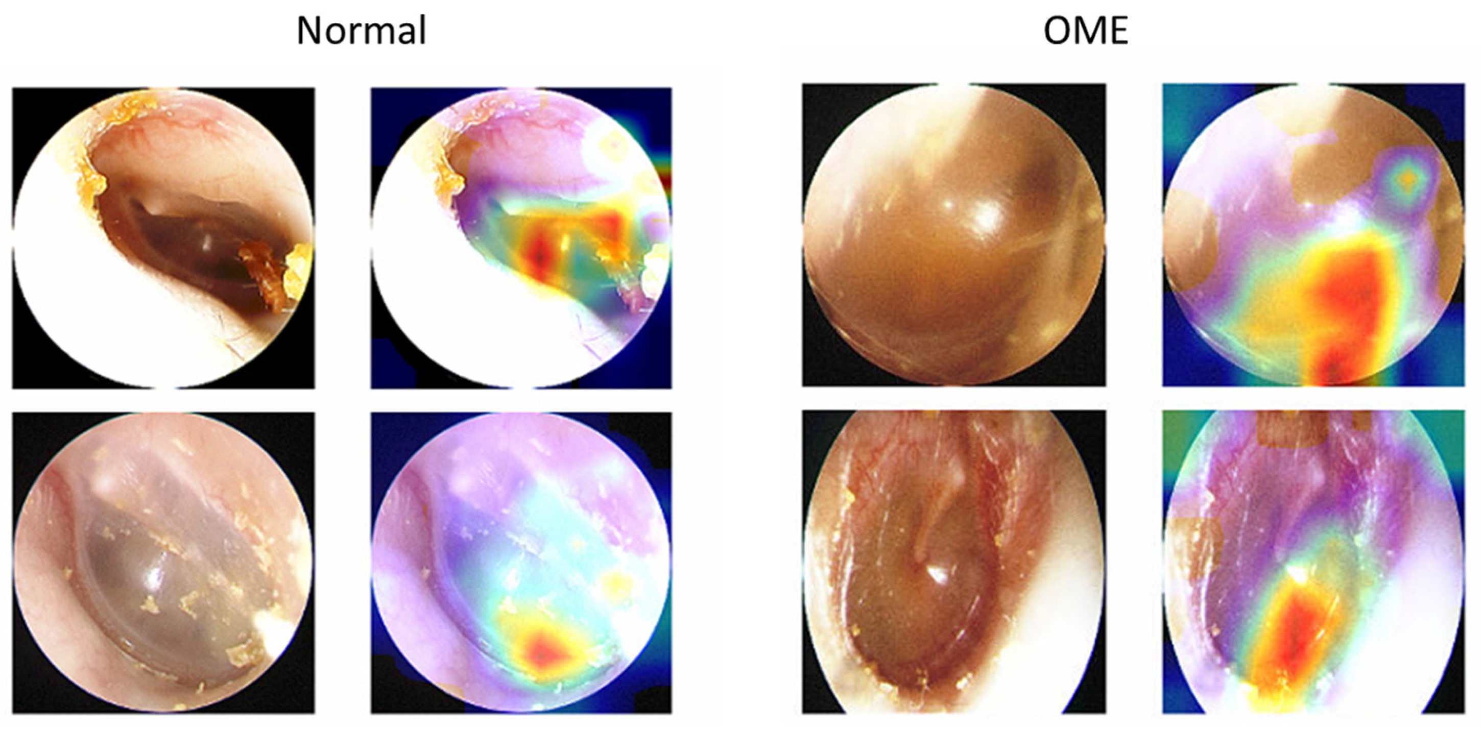 Bioengineering 10 01337 g002