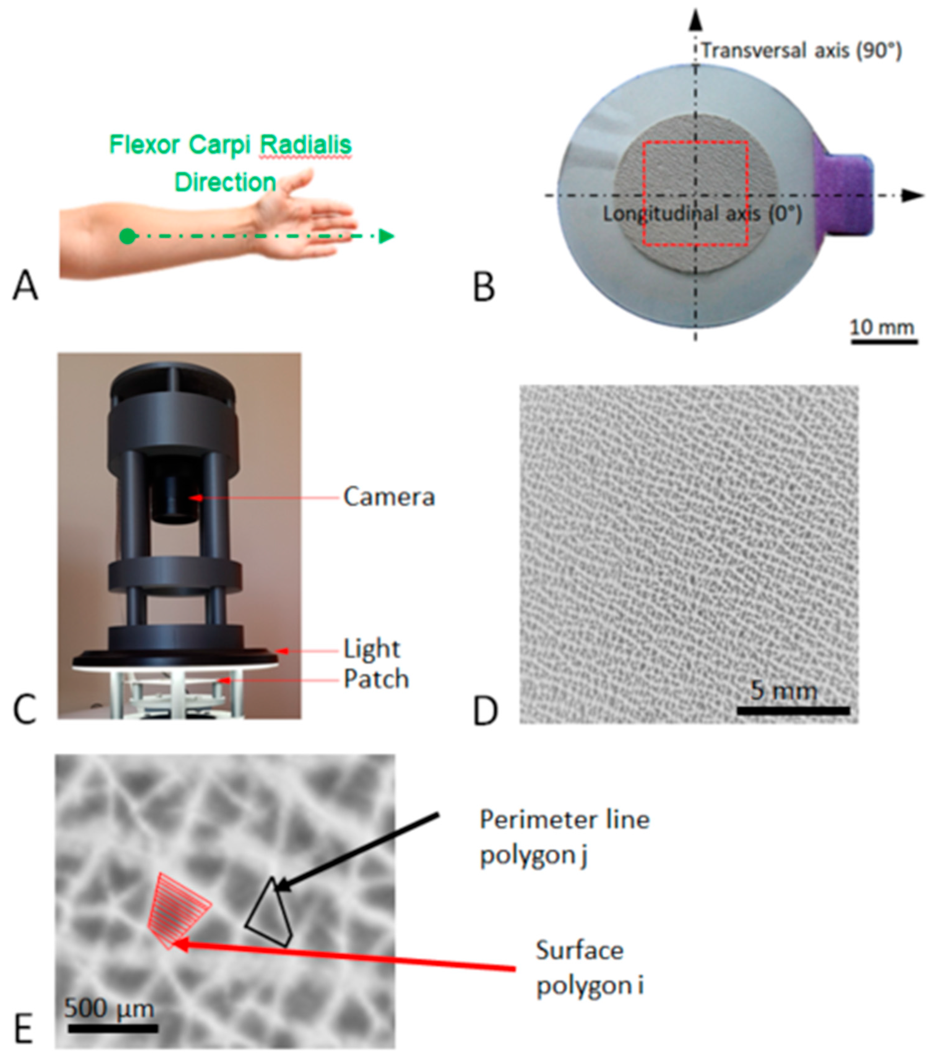 Bioengineering 10 01338 g001