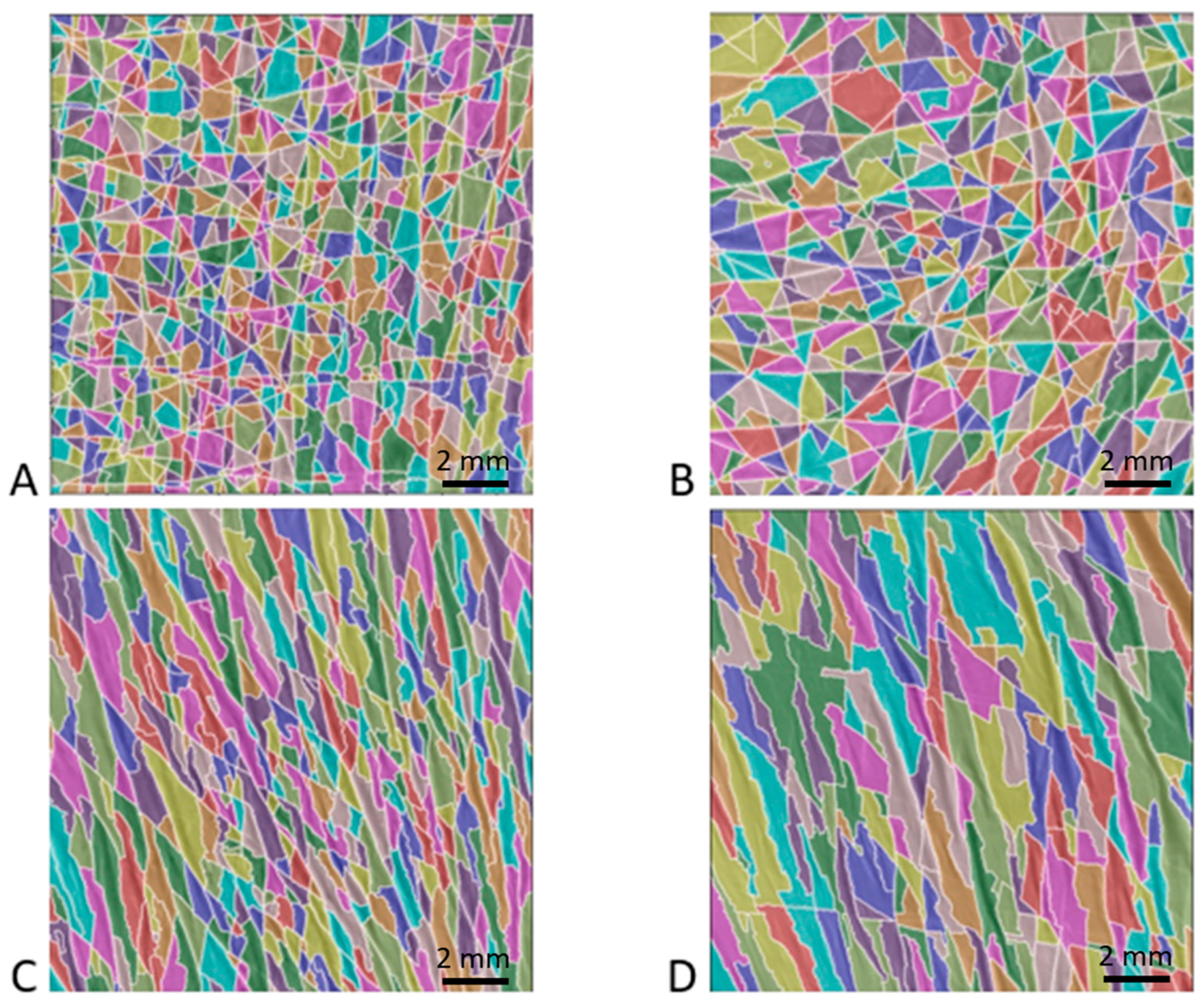 Bioengineering 10 01338 g005