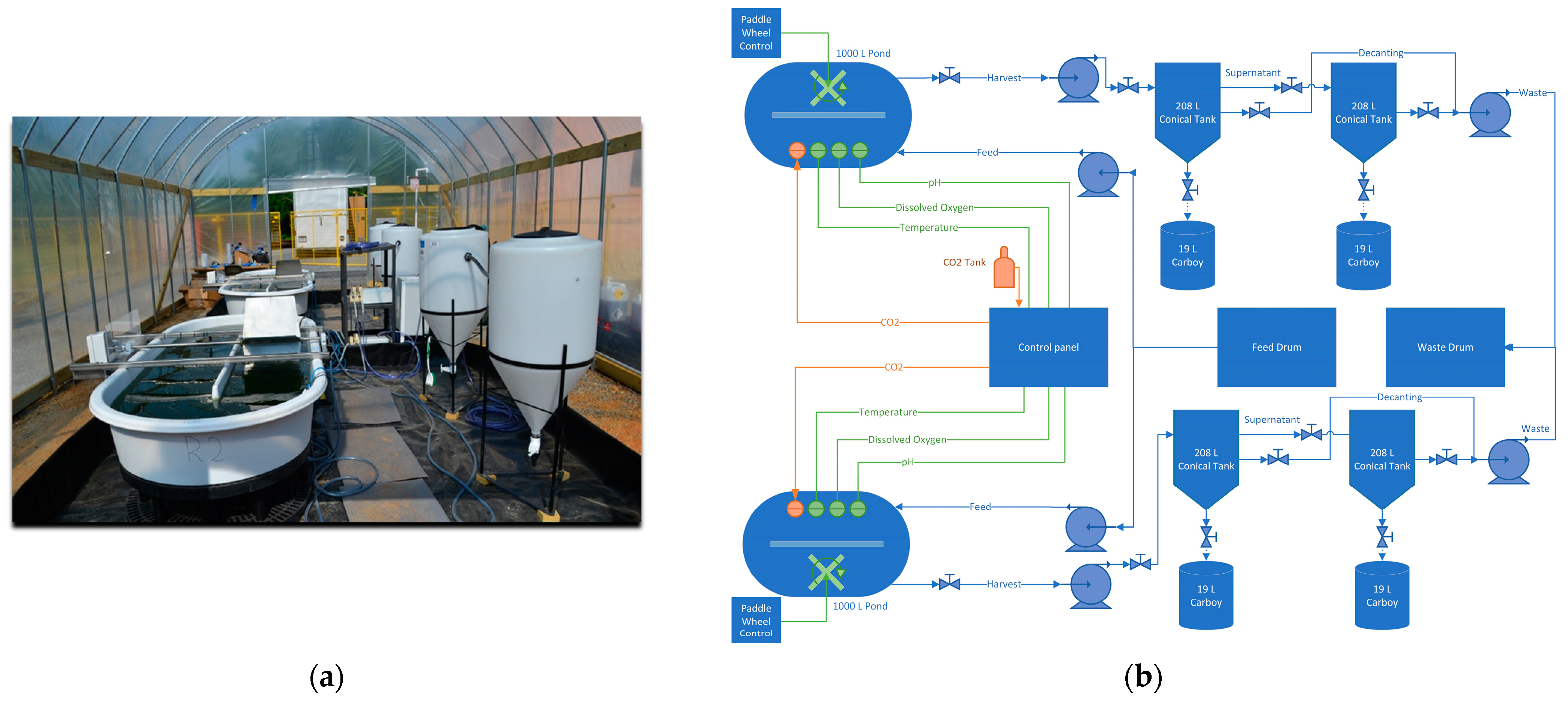 Bioengineering 10 01339 g001
