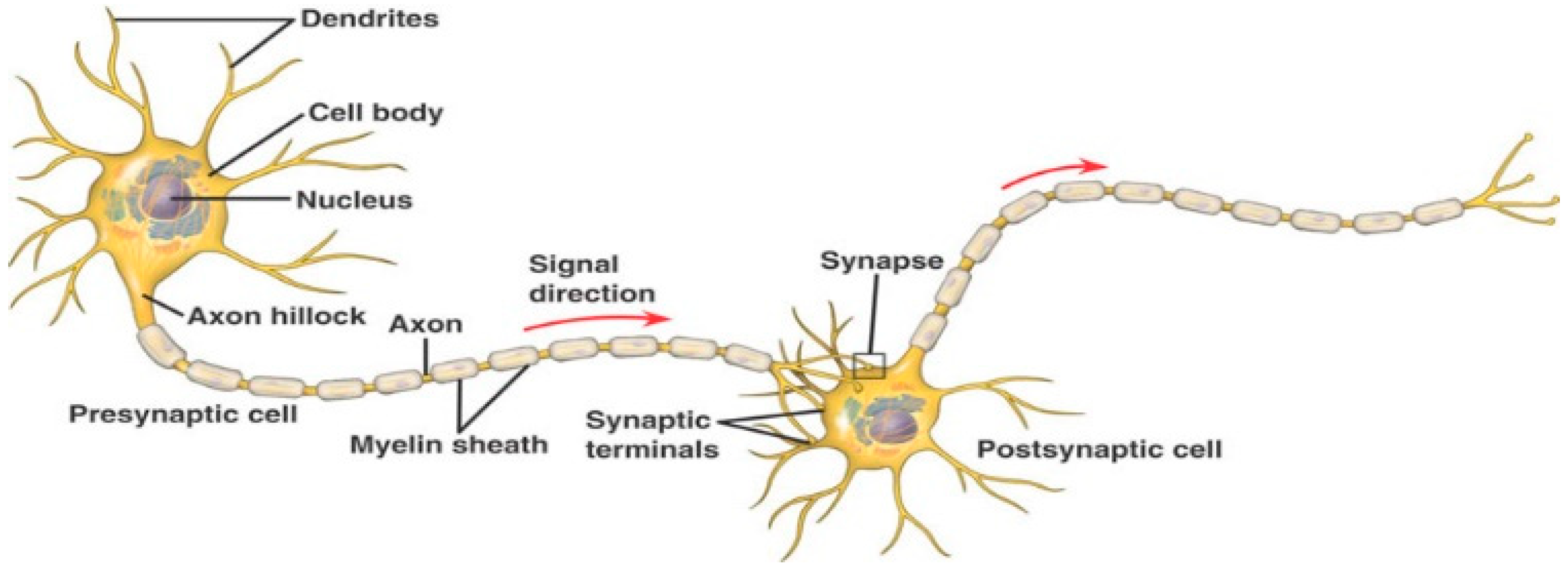 Bioengineering 10 01341 g001