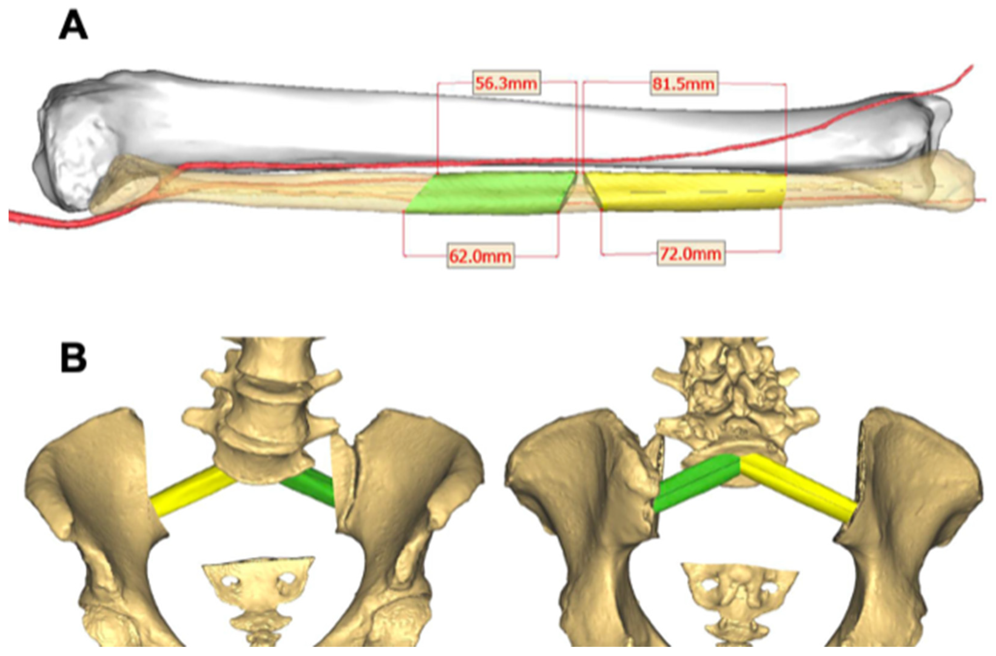 Bioengineering 10 01342 g002
