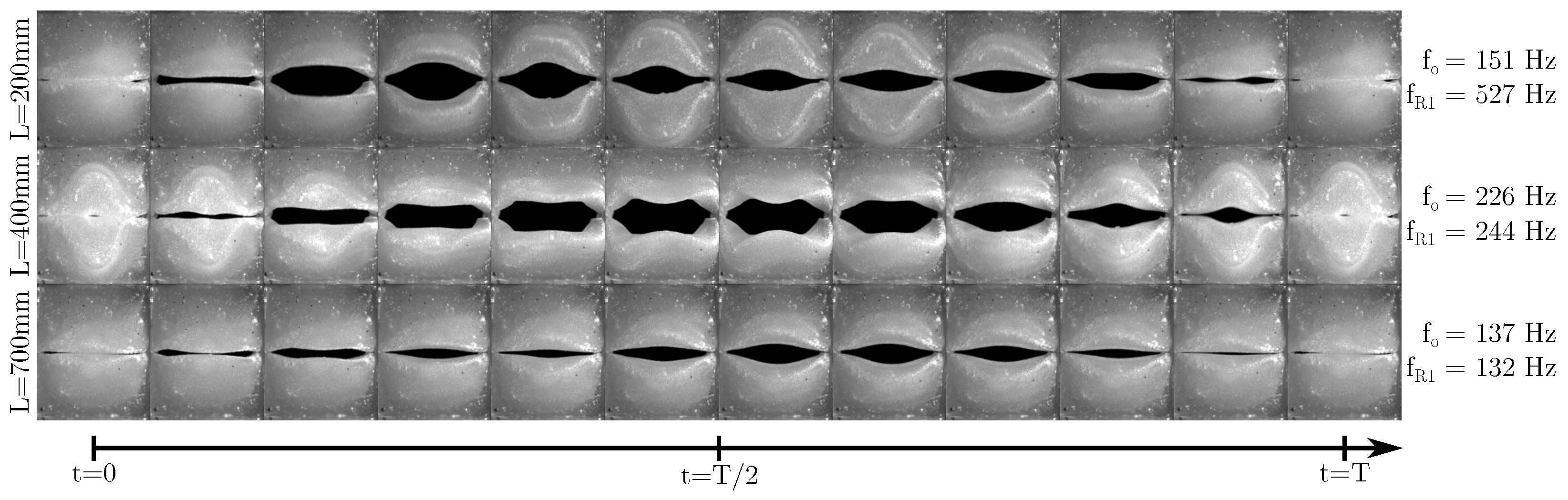 Bioengineering 10 01343 g006 Bioengineering 10 01343 g006