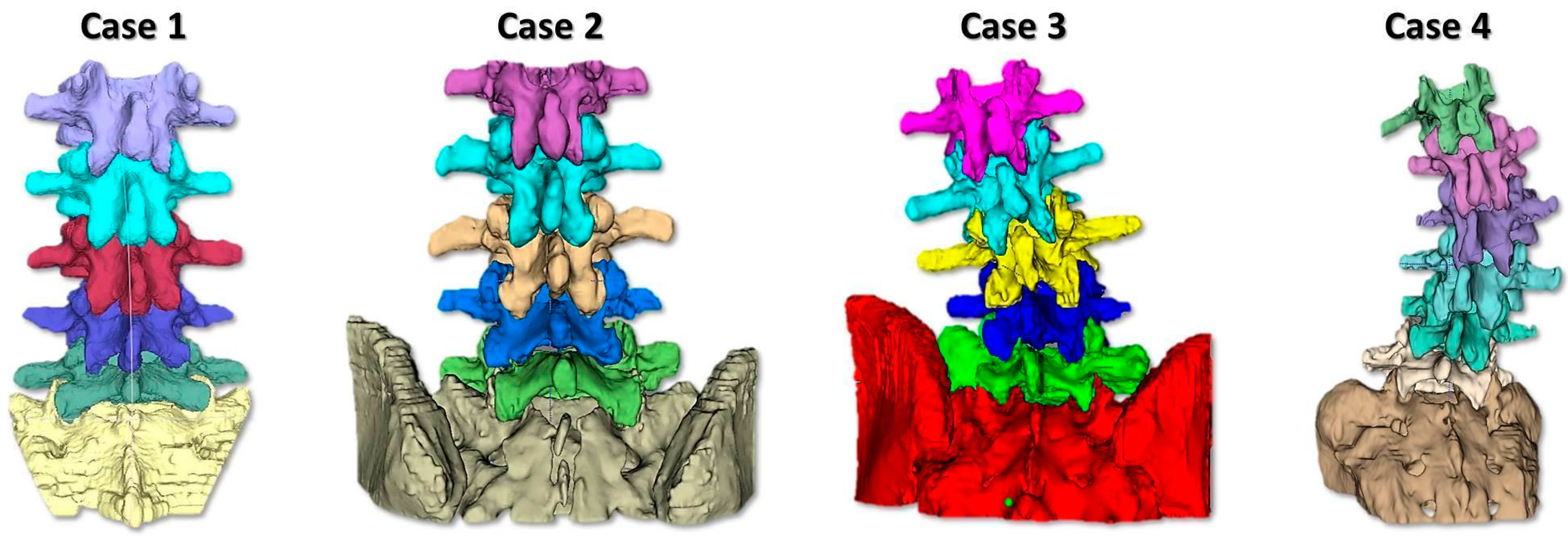 Bioengineering 10 01345 g001